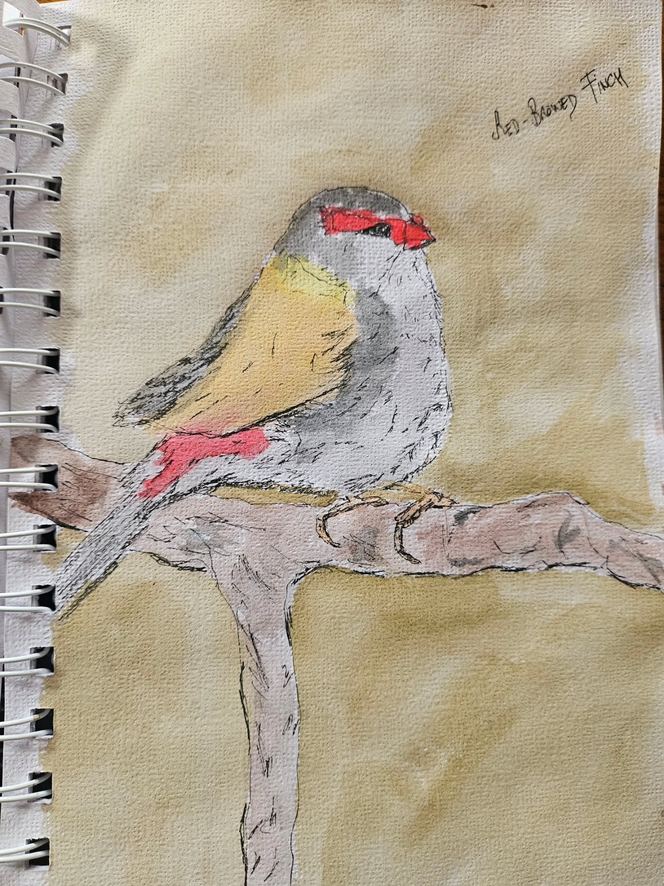 A train sketch turned into a watercolour at home. A relaxing activity to unwind the day