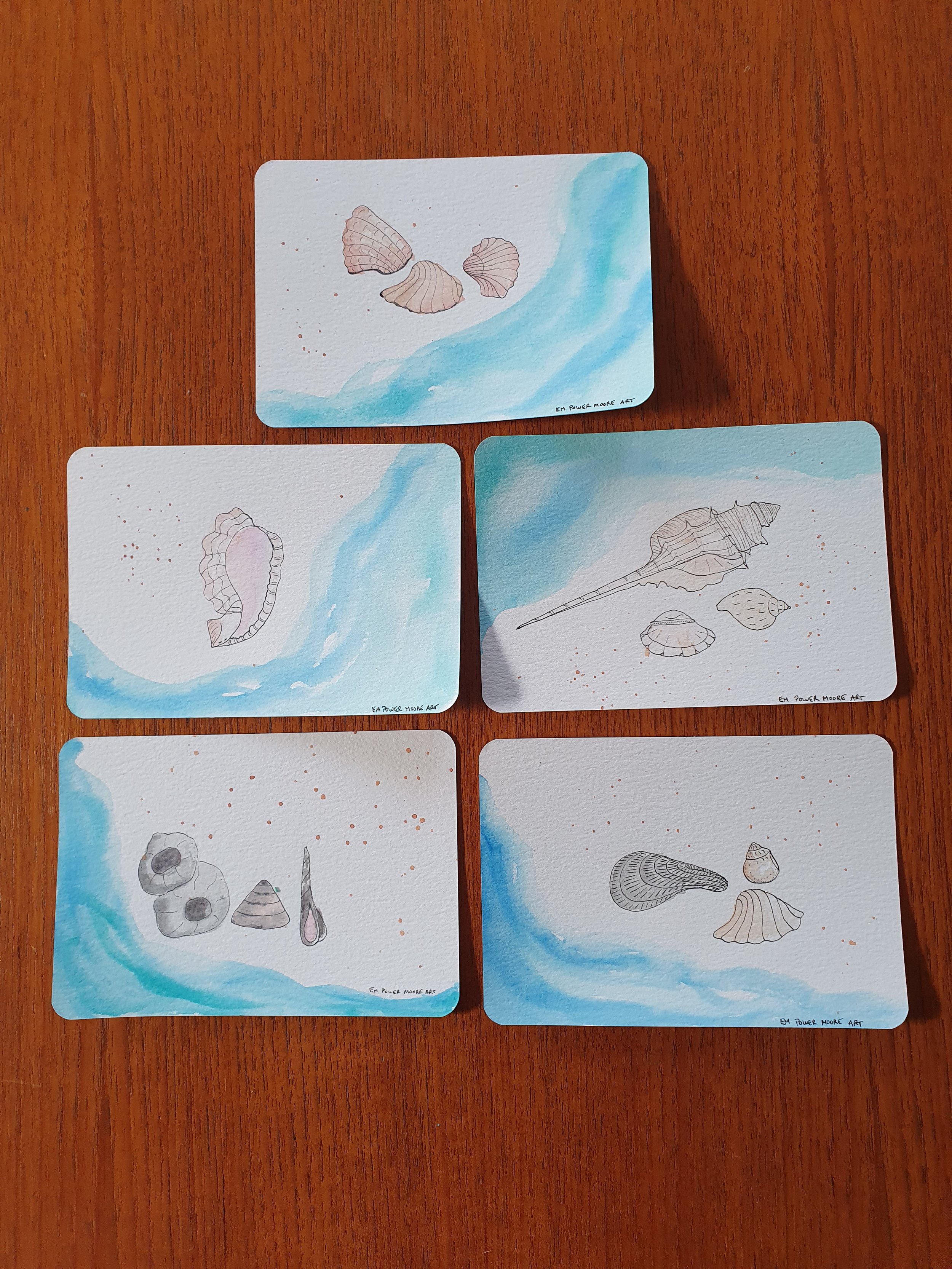 Sea Shells Postcard Set No. 2
