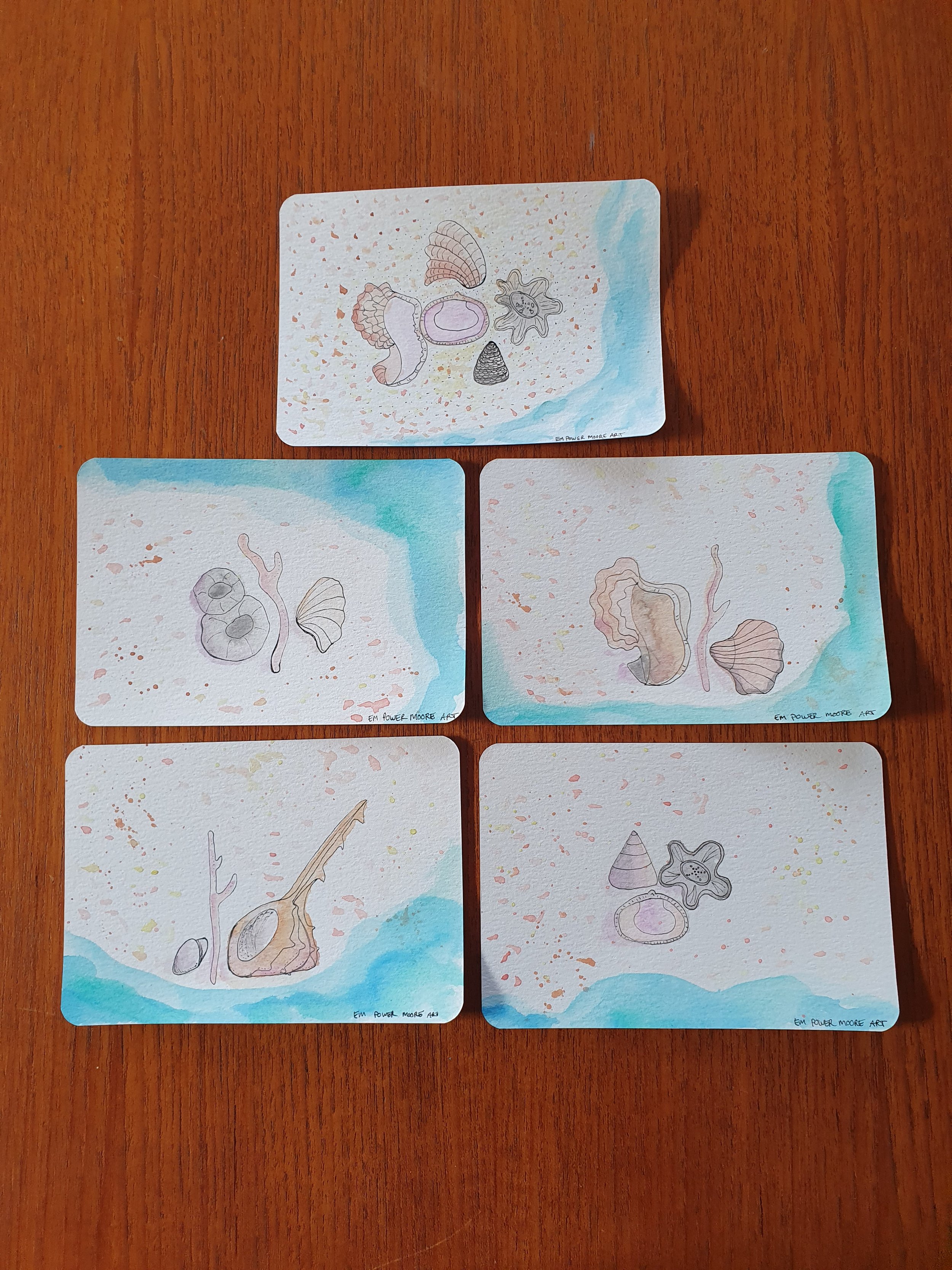 Sea Shells Postcard Set No. 1