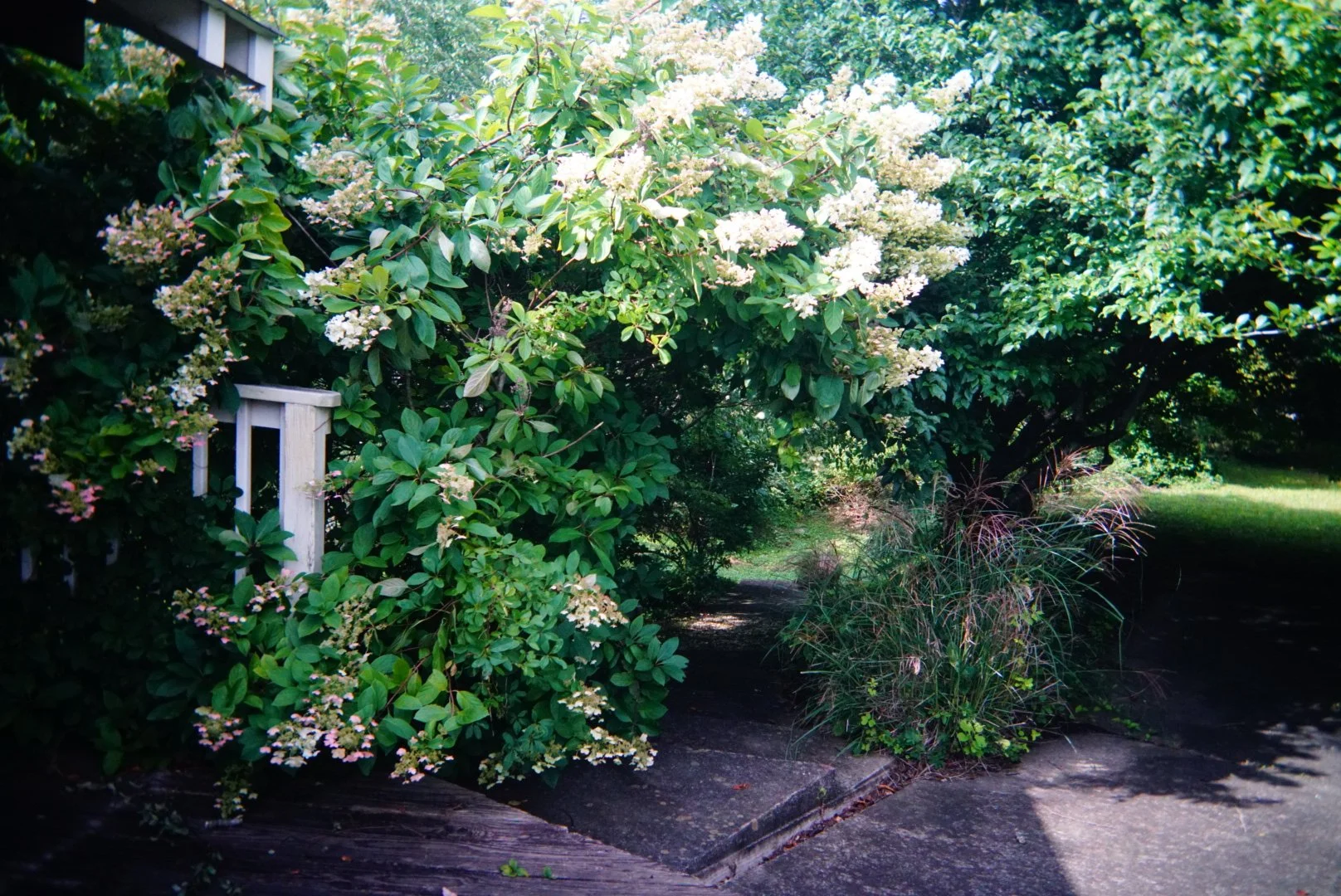 03 - DSC03616(1).JPG