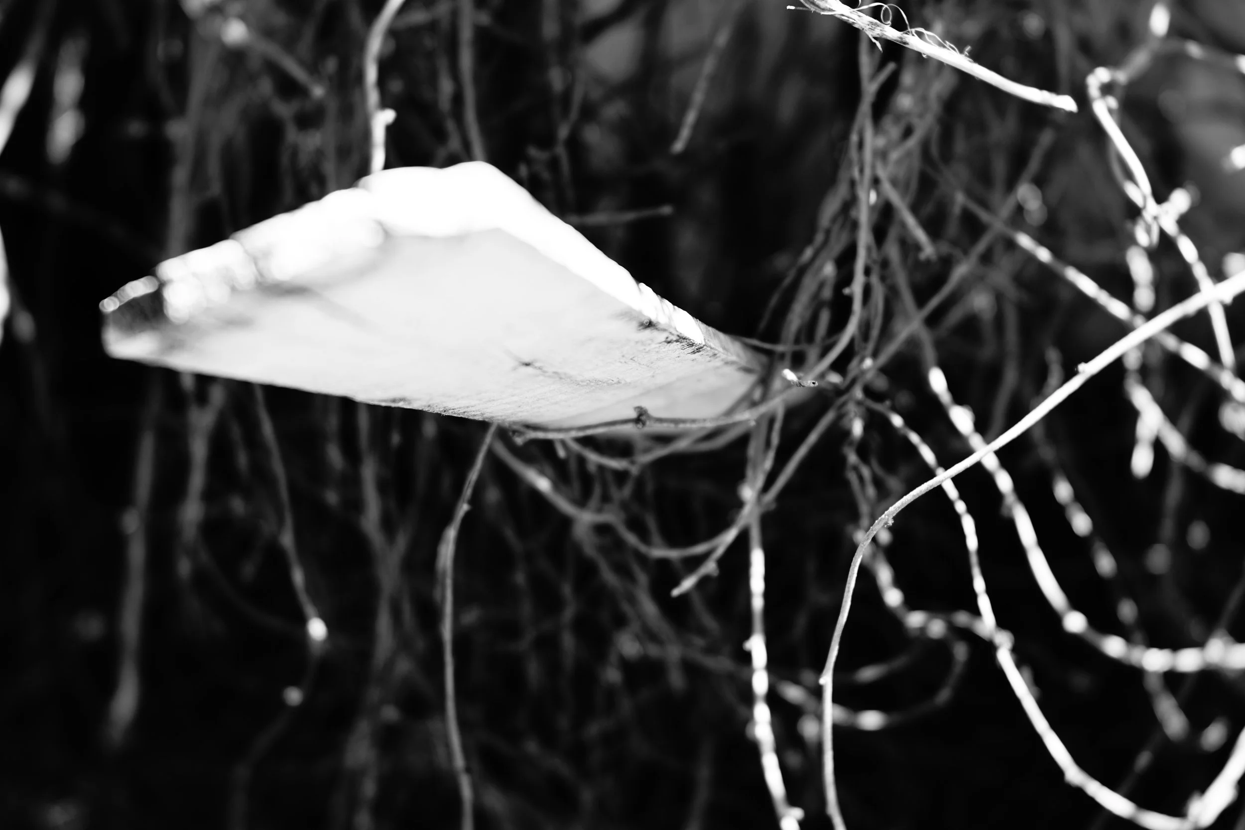 Bent and Contorted Myself to Be Perfect