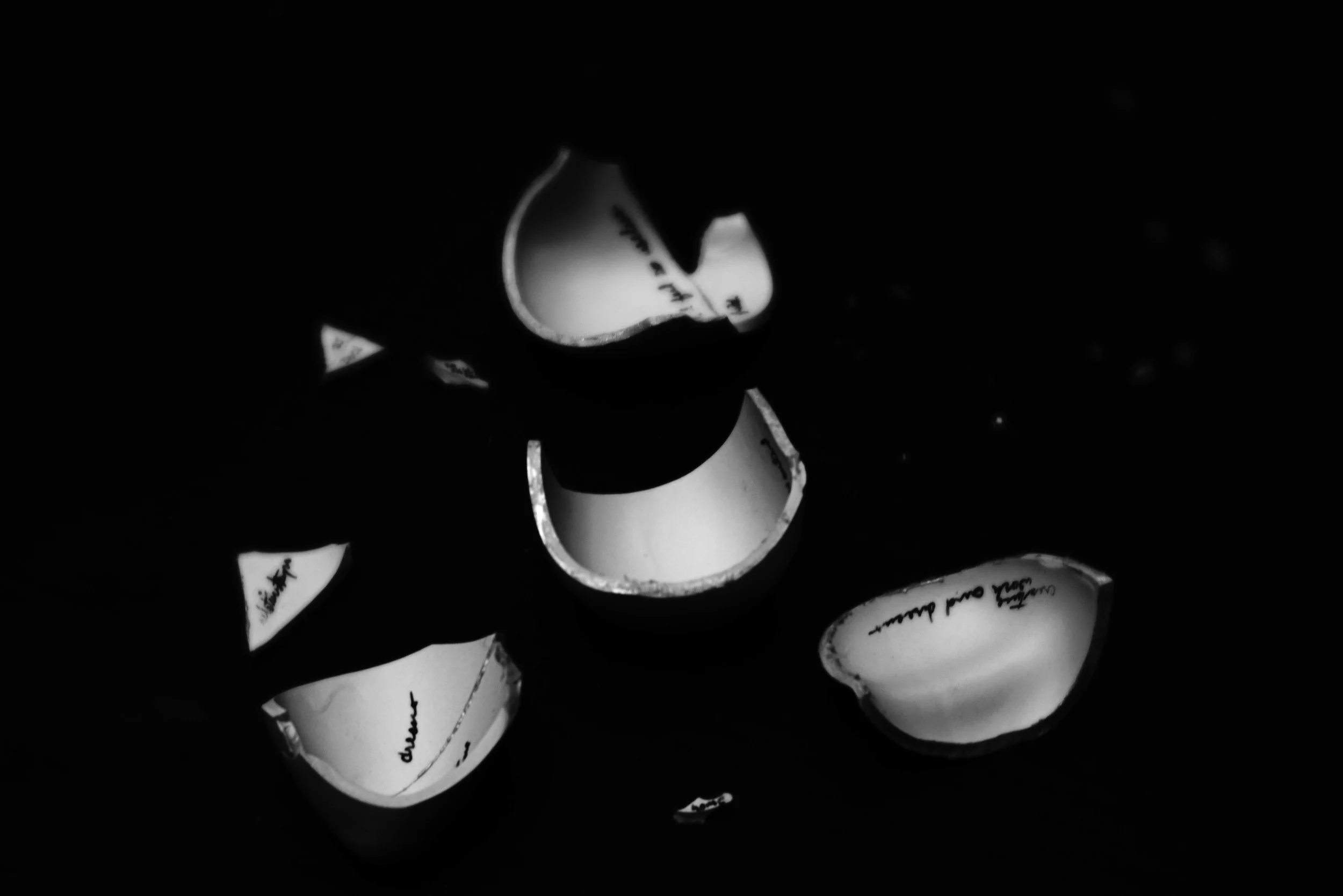 Fear Has Always Told Me What I Couldn't Do