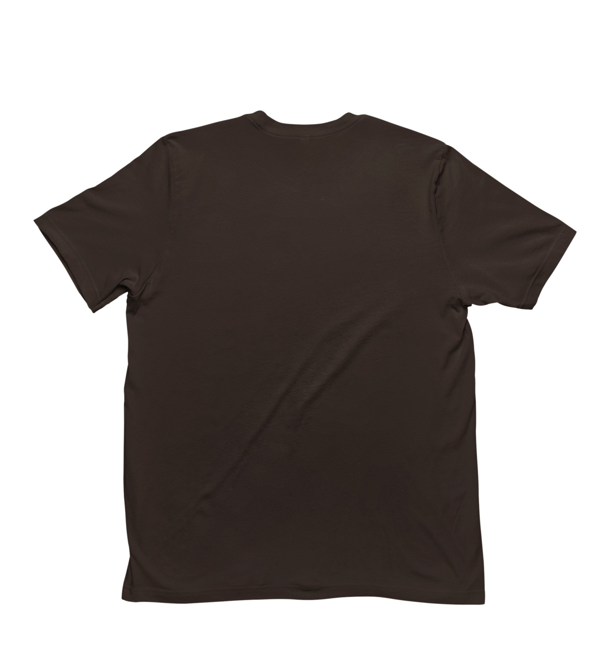 Just Lettuce Know tshirt - brown back.jpeg