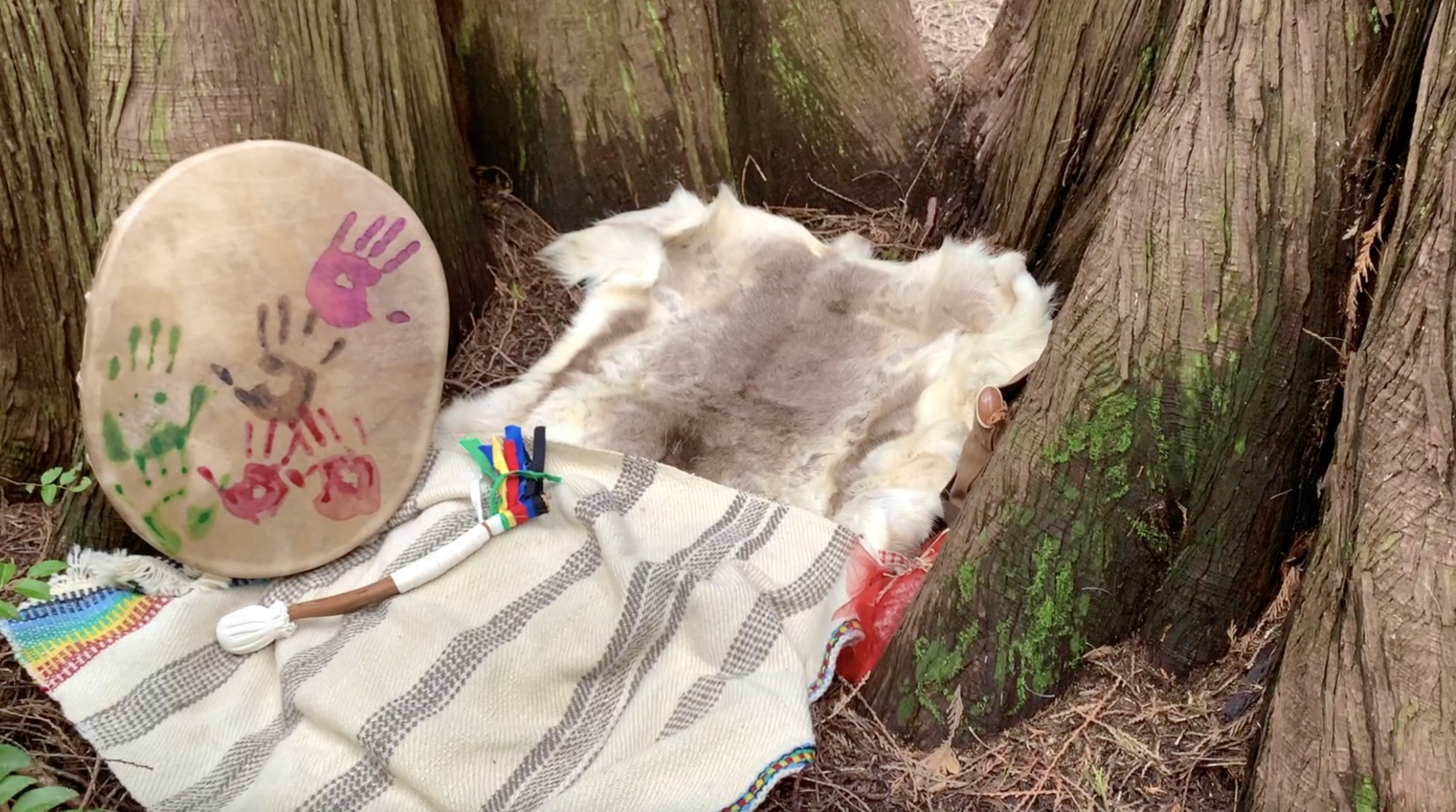 Wild-Beauty-Private-Library_Laurie-Nelson_Ancestral-Thunder.png
