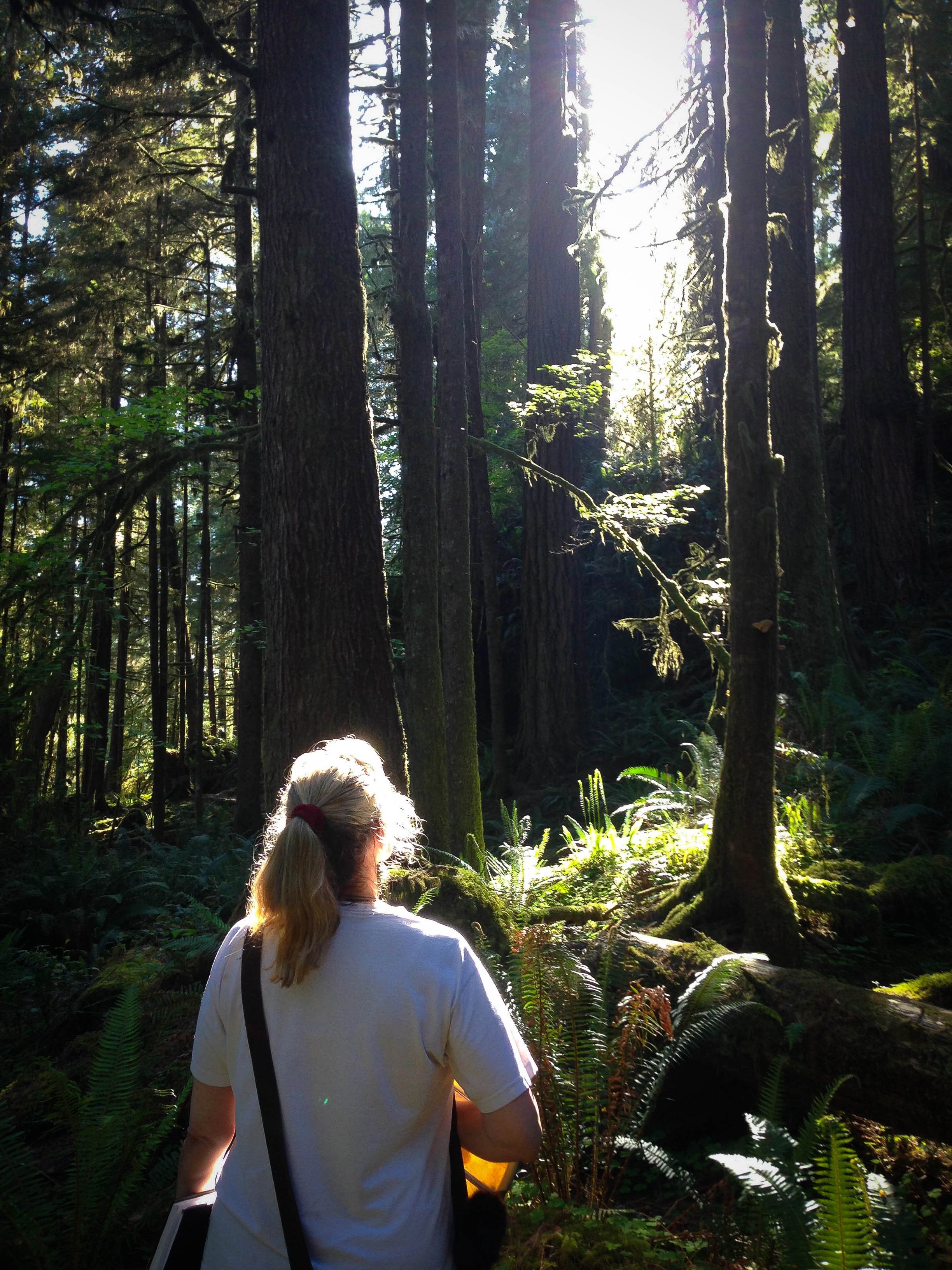 Walking+With+the+Ancient+Ones+-+SoulCrafting+Studio+-+Laurie+Nelson.jpeg