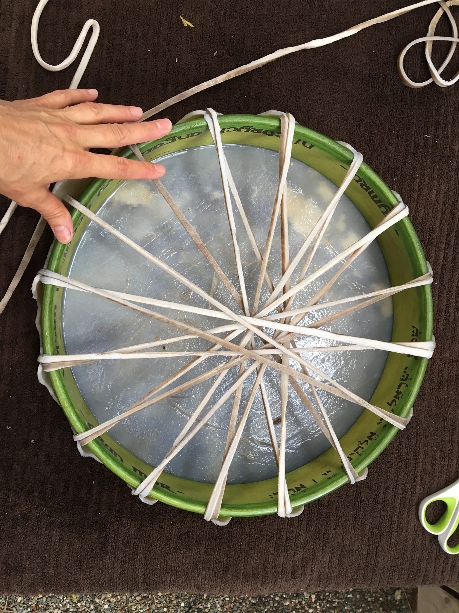 Sarah: Òran Mór Drum: Birthing Ceremony underway, and lacing begun.