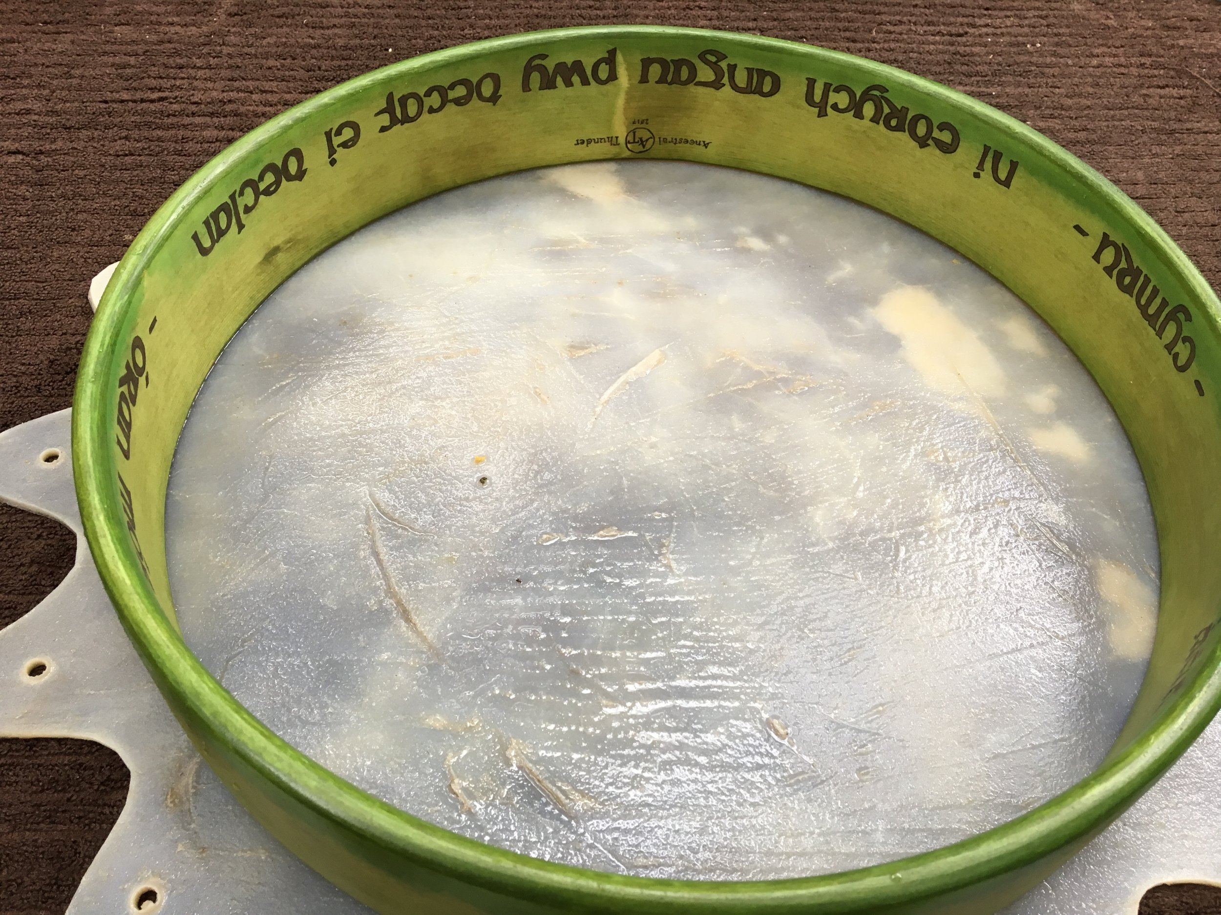 Sarah: Òran Mór Drum: The Birthing Ceremony well underway, with Sacred Circle of Buffalo placed and centered upon Buffalo Mesa, ready for lacing.