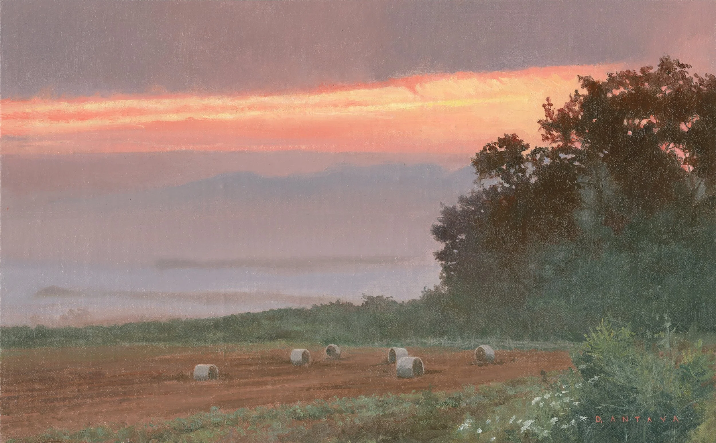 Antaya_Blaze+of+Light_oilonlinen_10x16.jpg