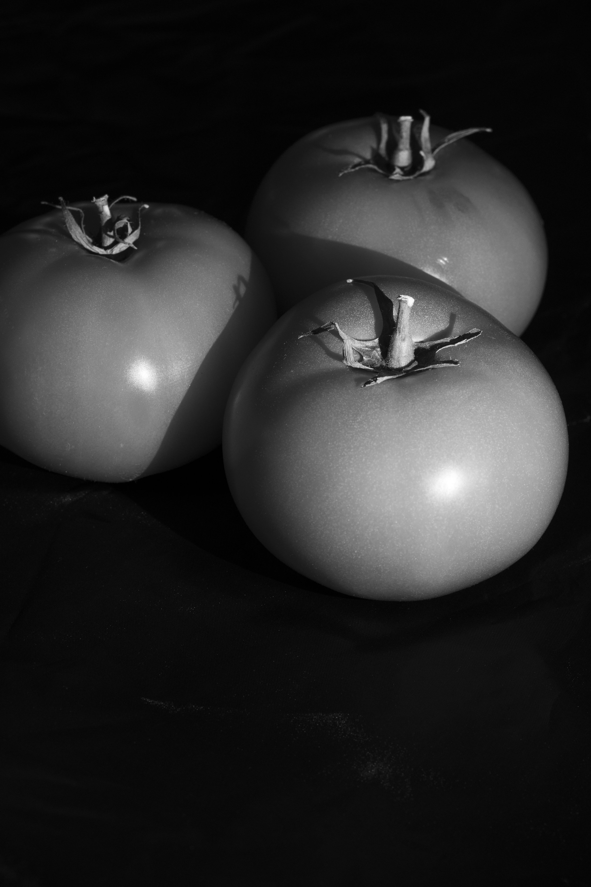 WPStillLife001.jpg
