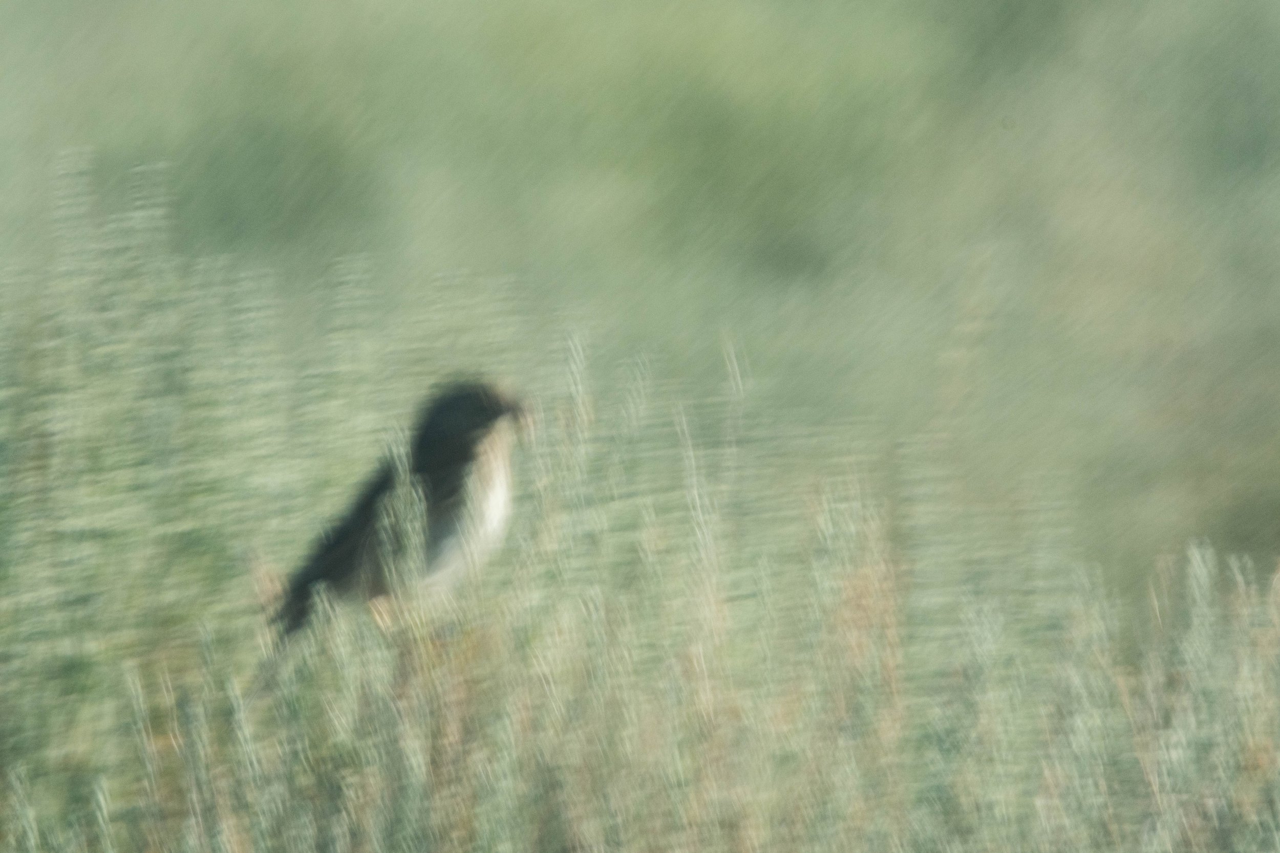 DSC_4970.jpg