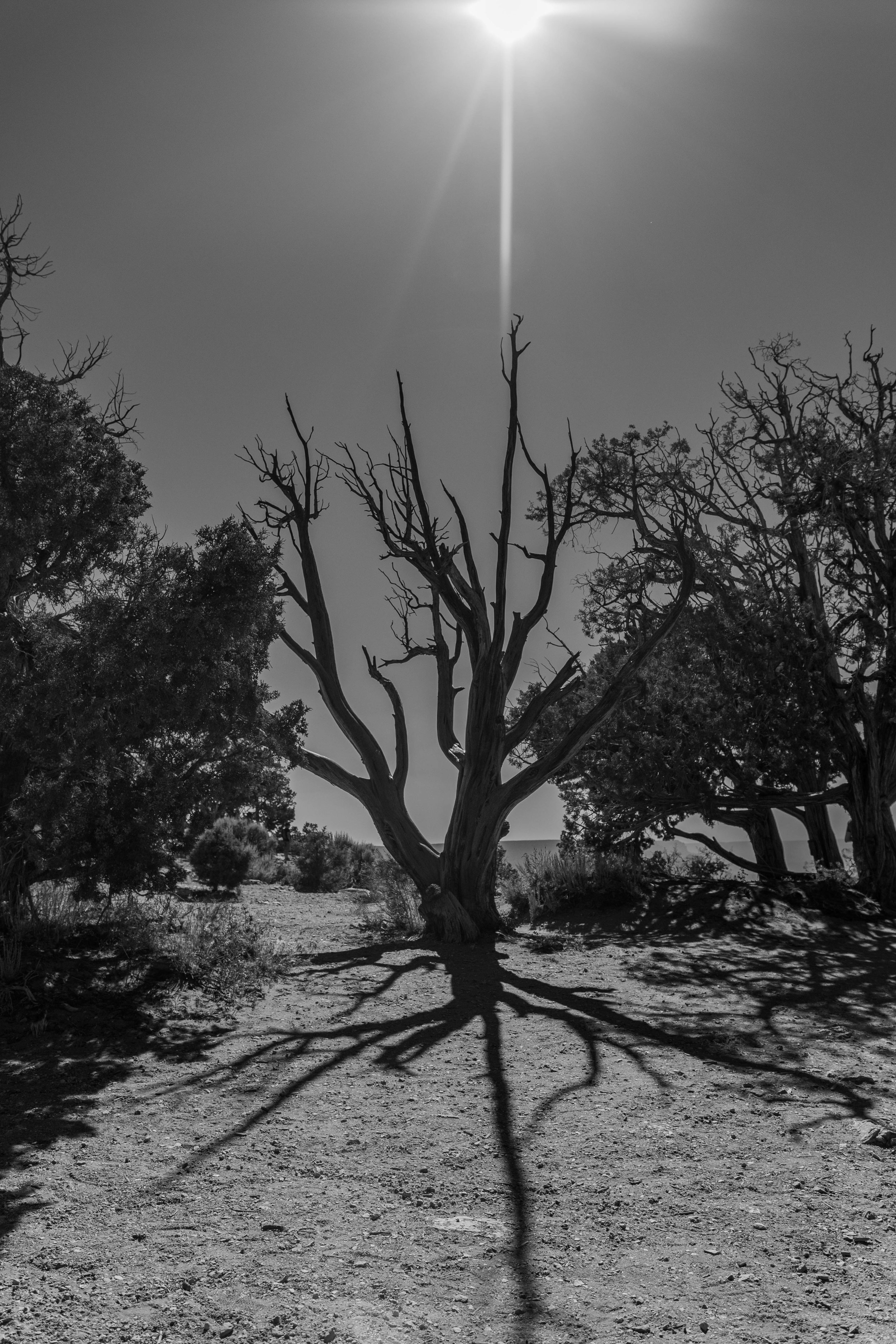 DSC_9003.jpg