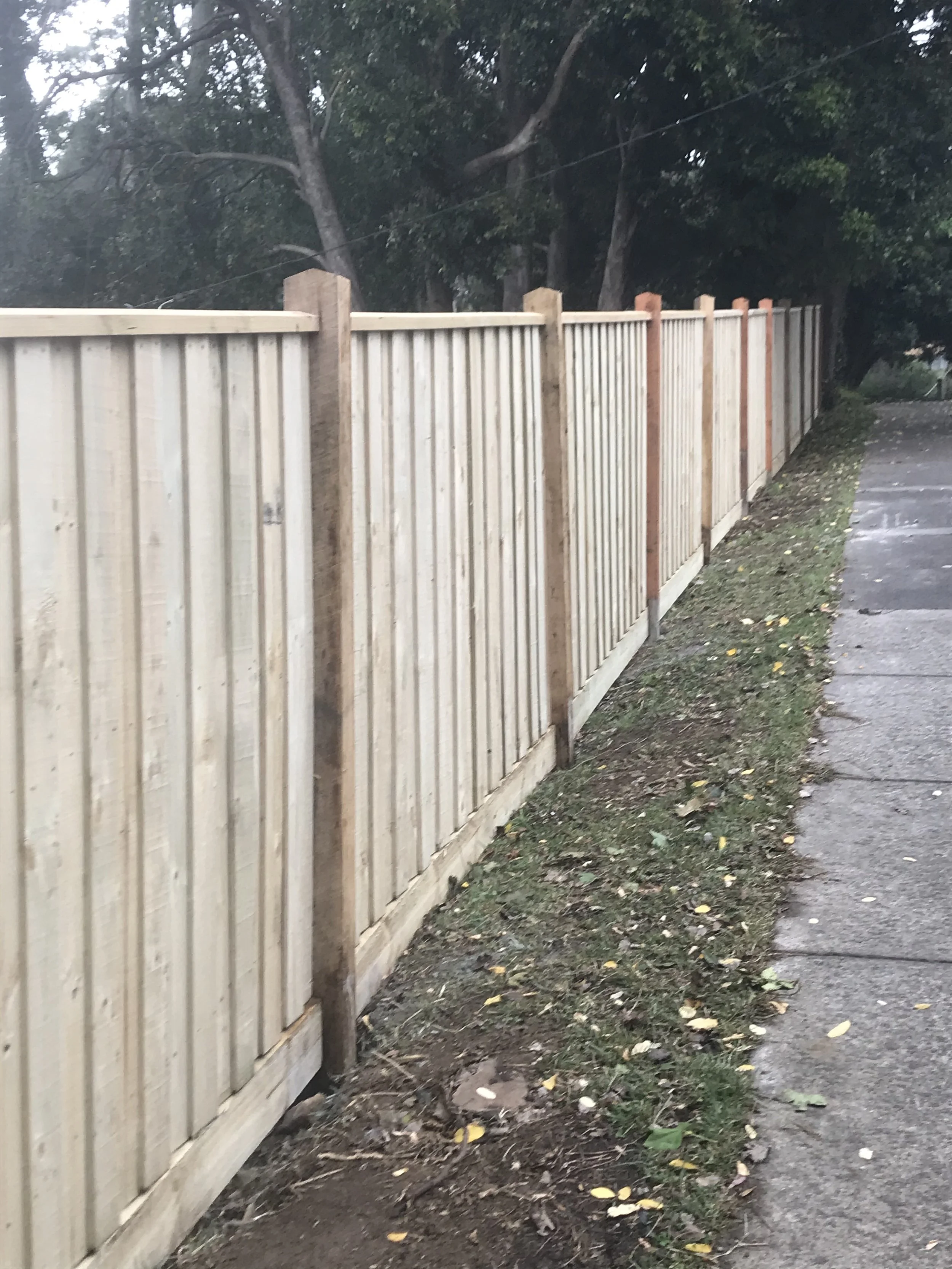 Paling Fences — Phil's Fencing