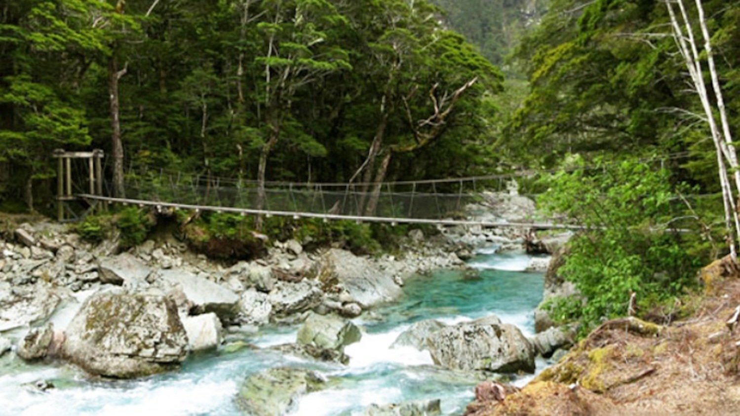 Routeburn swing bridge.jpg