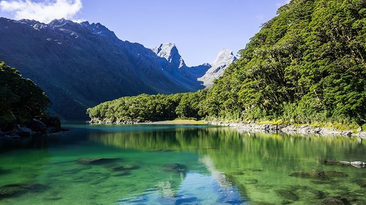 lake-mackenzie-fiordland-national-park.jpg