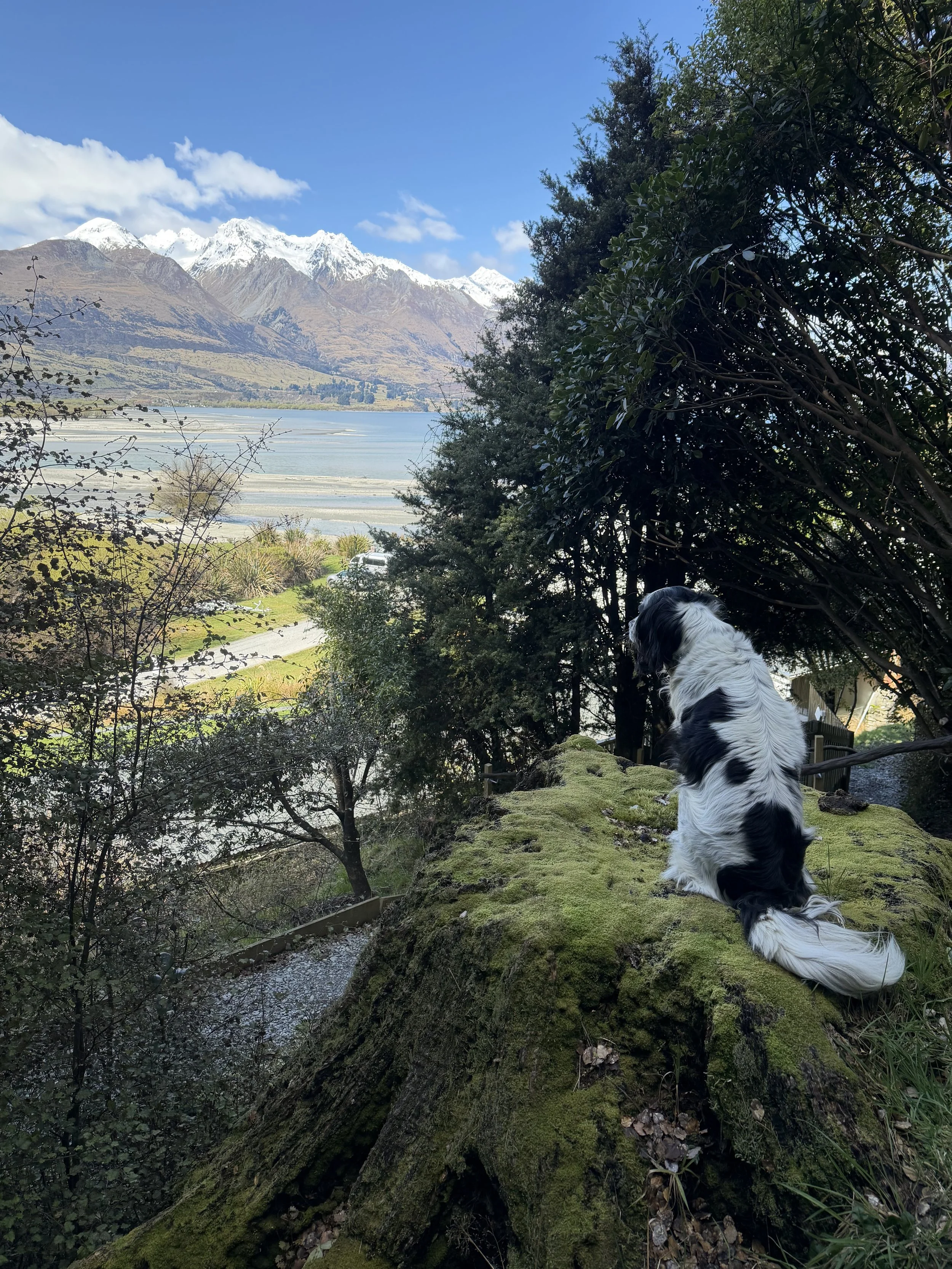 IMG_0368.jpeg