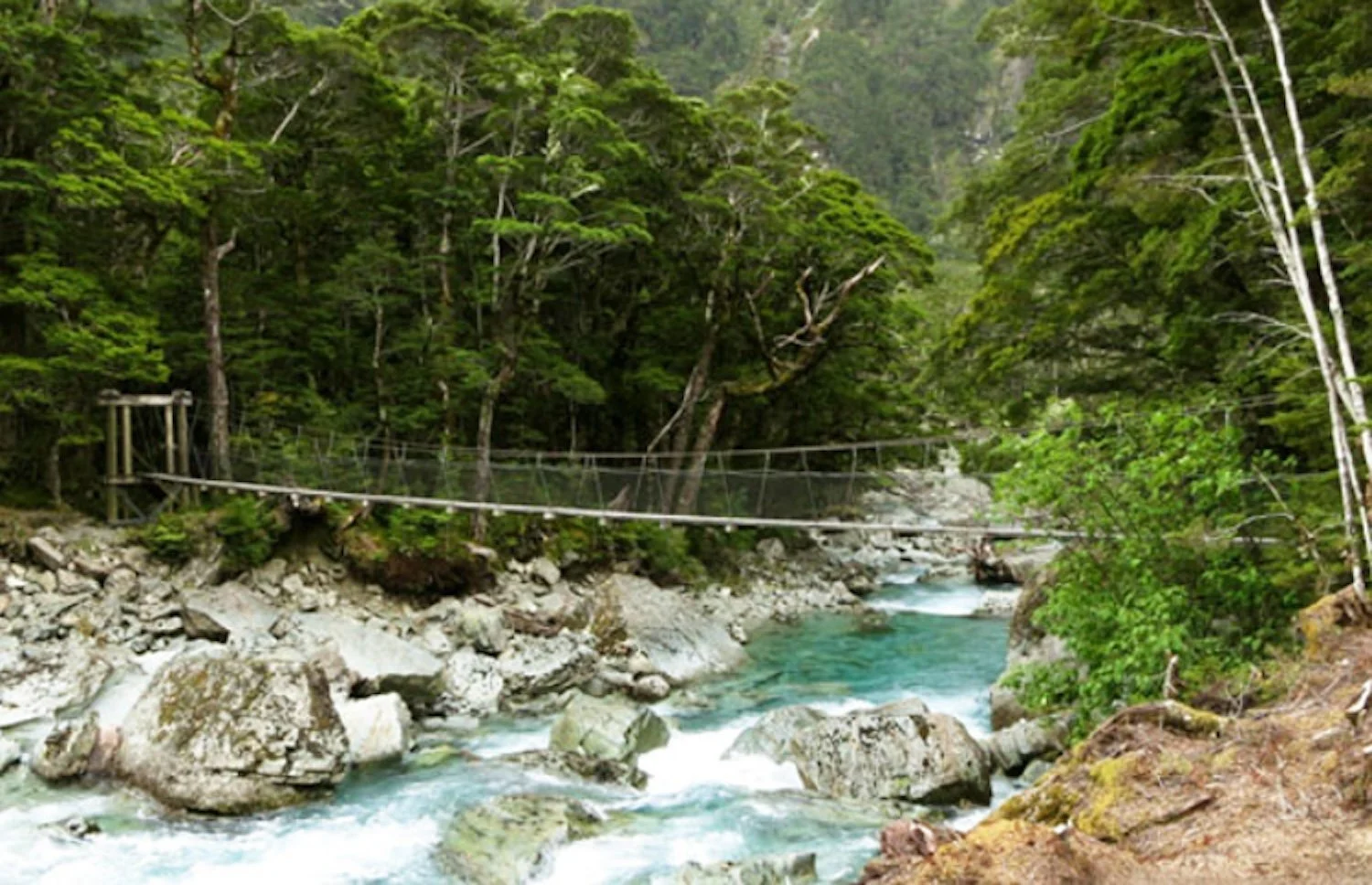 Routeburn swing bridge.jpg