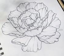 Flower sketch.png