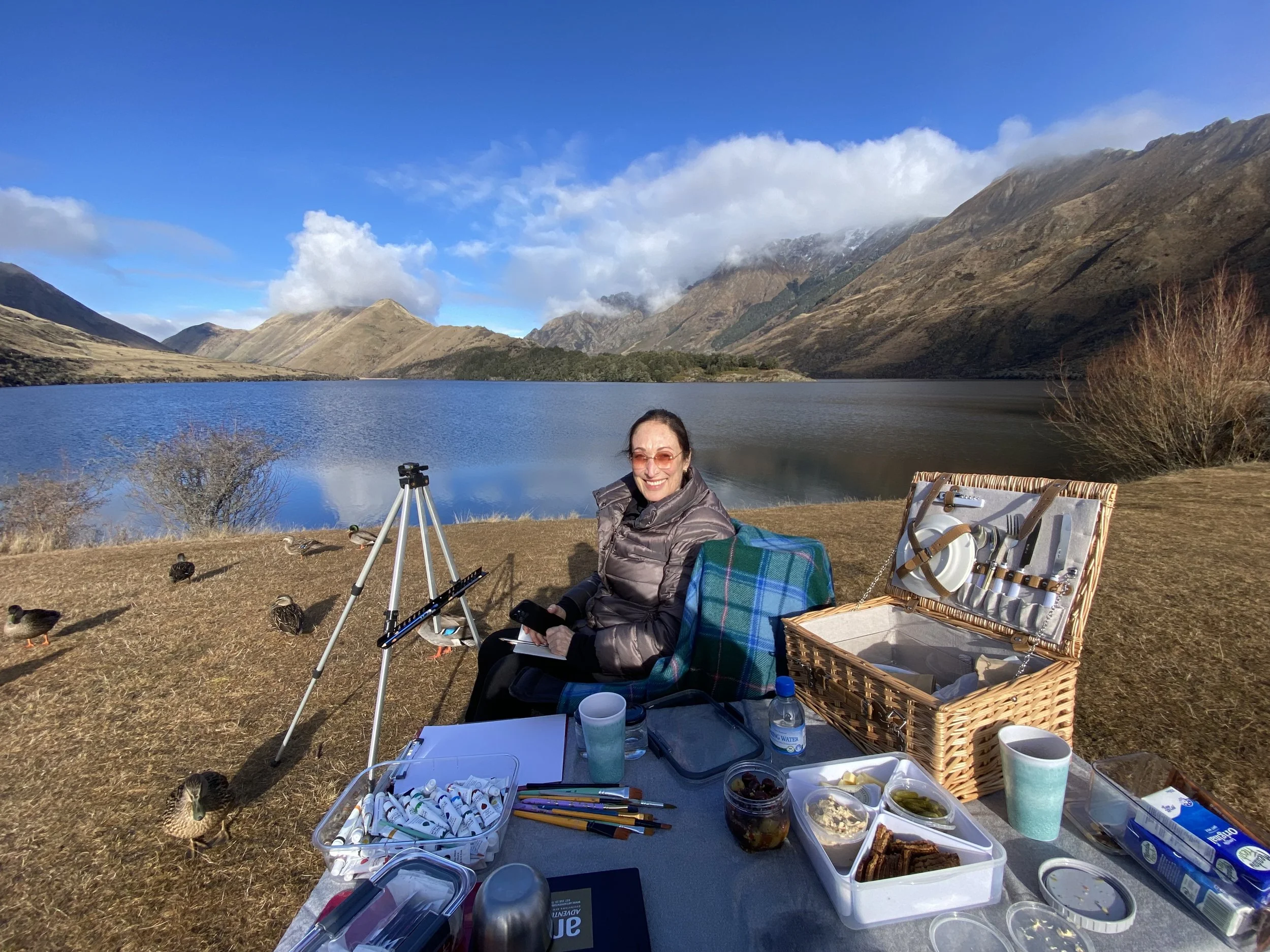 Moke private art tour picnic.jpeg
