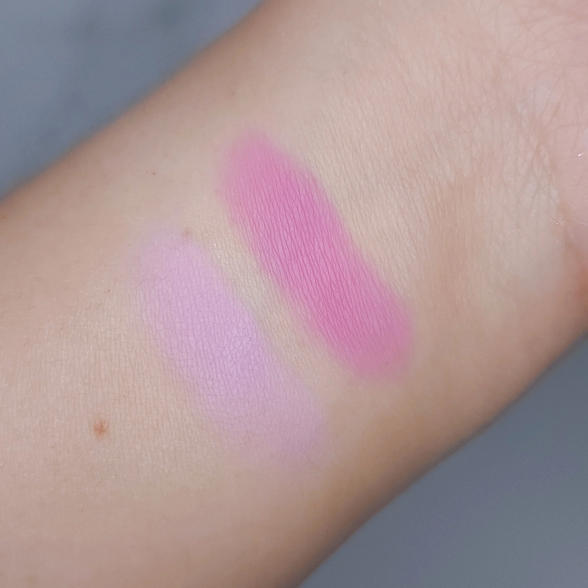 Juvia #39 s Place Blushed Duo Swatches and Review Candid Ramblings