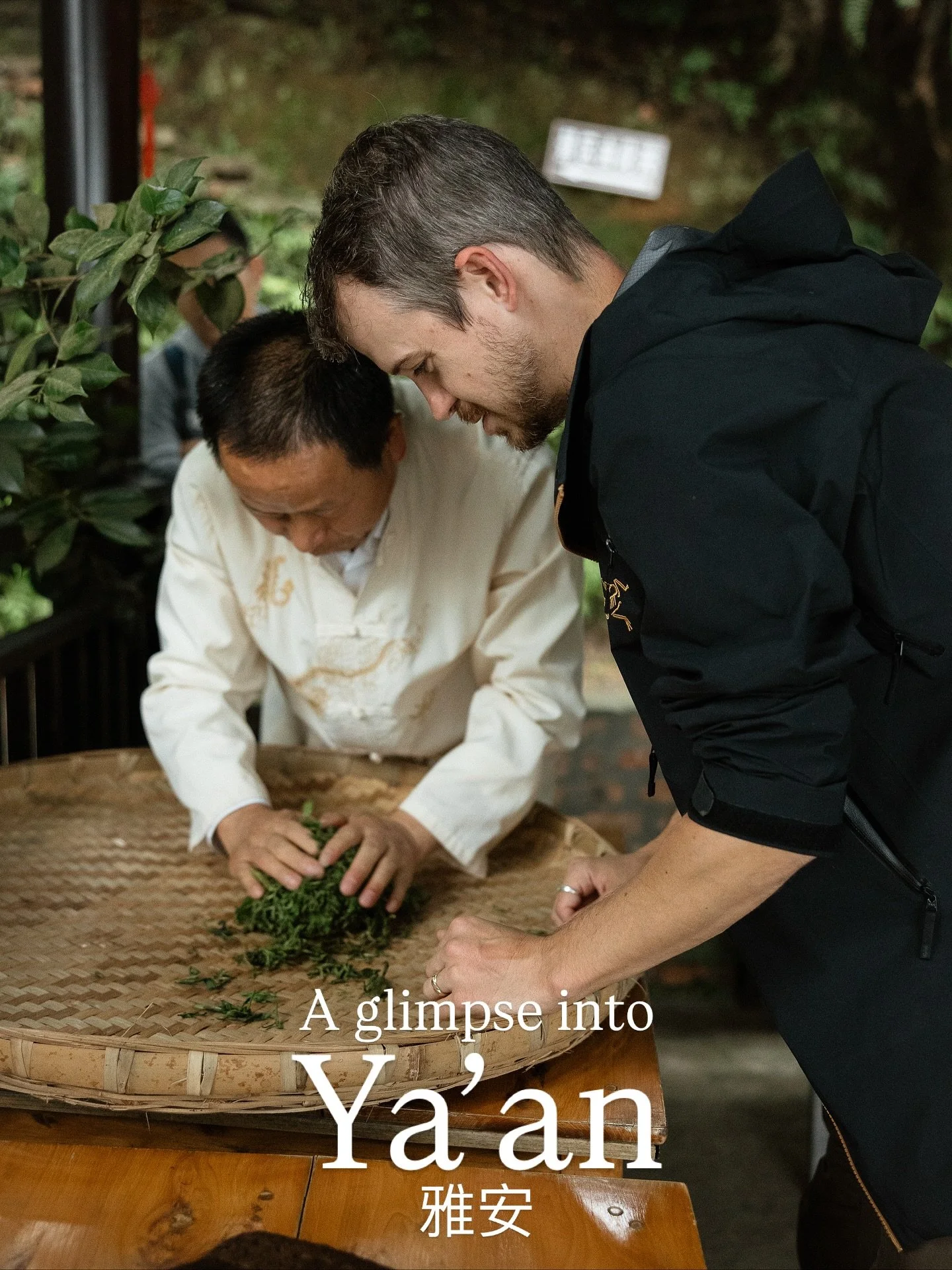 YA&rsquo;AN | 9/27-10/4

The place where we rested, explored Mount Mengding and made our own tea. Mount Mending is where the first tea plants were made and harvested! As you know, Weston loves tea and I do too now. We got to go to a really cool museu