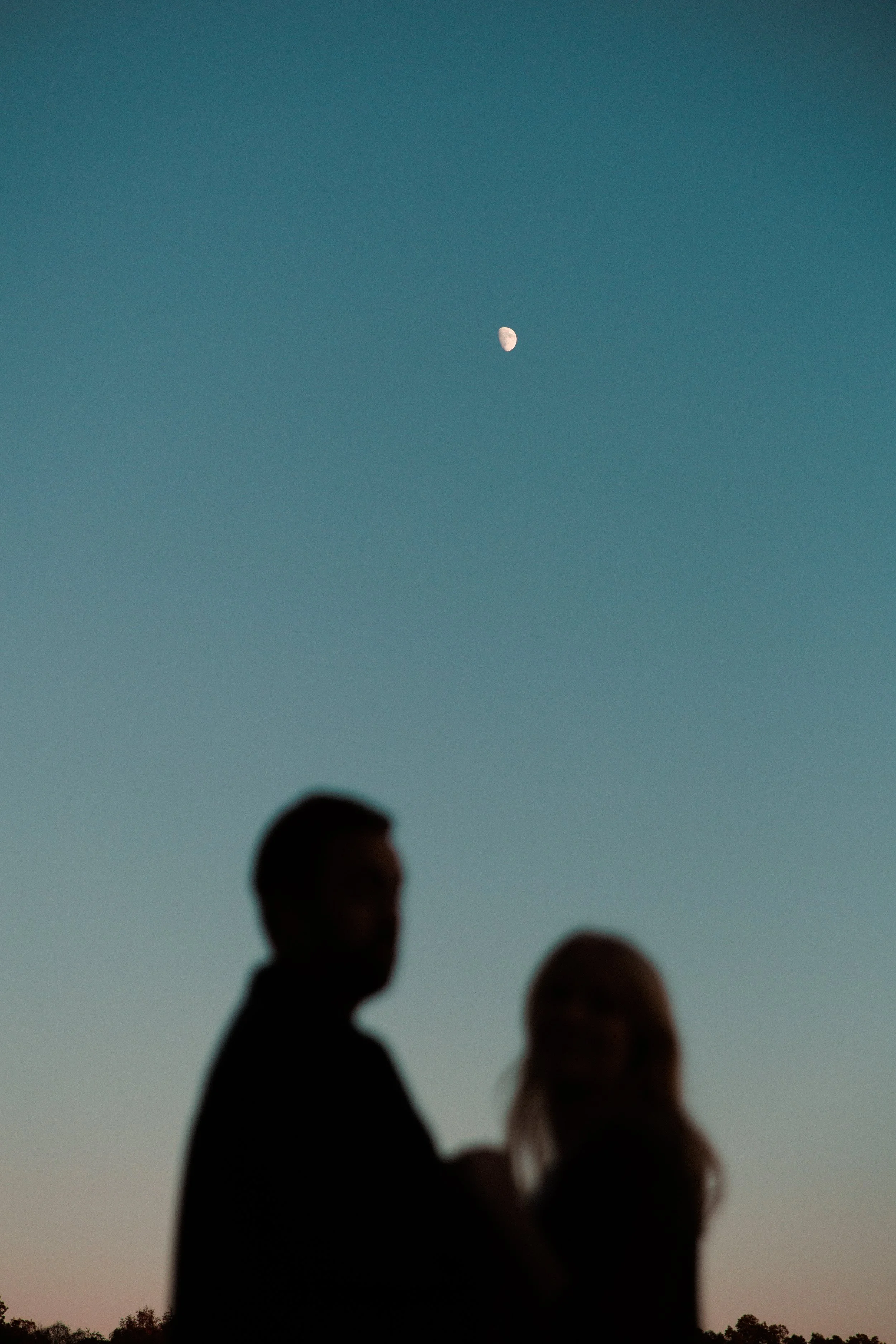 20251031_1247CM.jpg