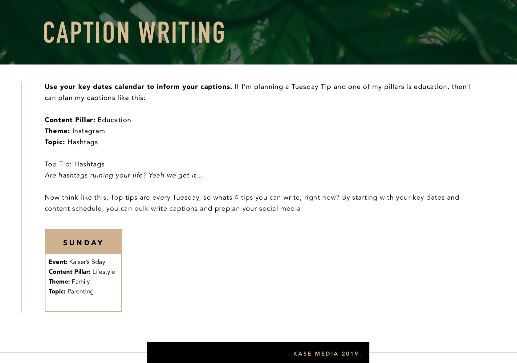 Screen Shot 2019-01-19 at 12.23.46 am.png