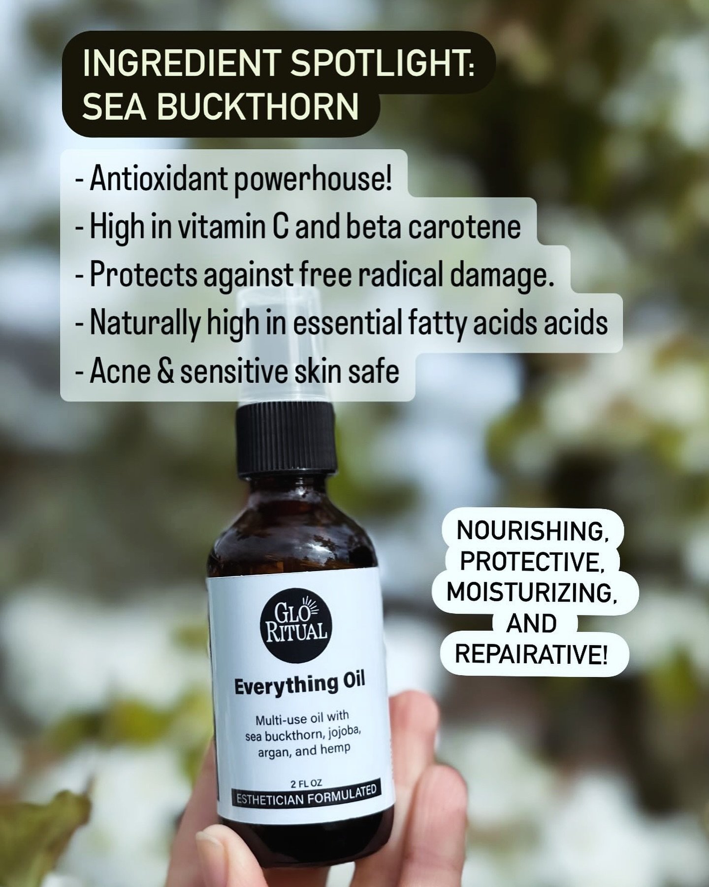 Do you find vitamin C serums to be too much for your skin? Maybe drying or irritating? Synthetic vit C has always bothered my skin. I was so excited to discover sea buckthorn oil as a wonderful way to get topical vit C naturally. And it actually feel