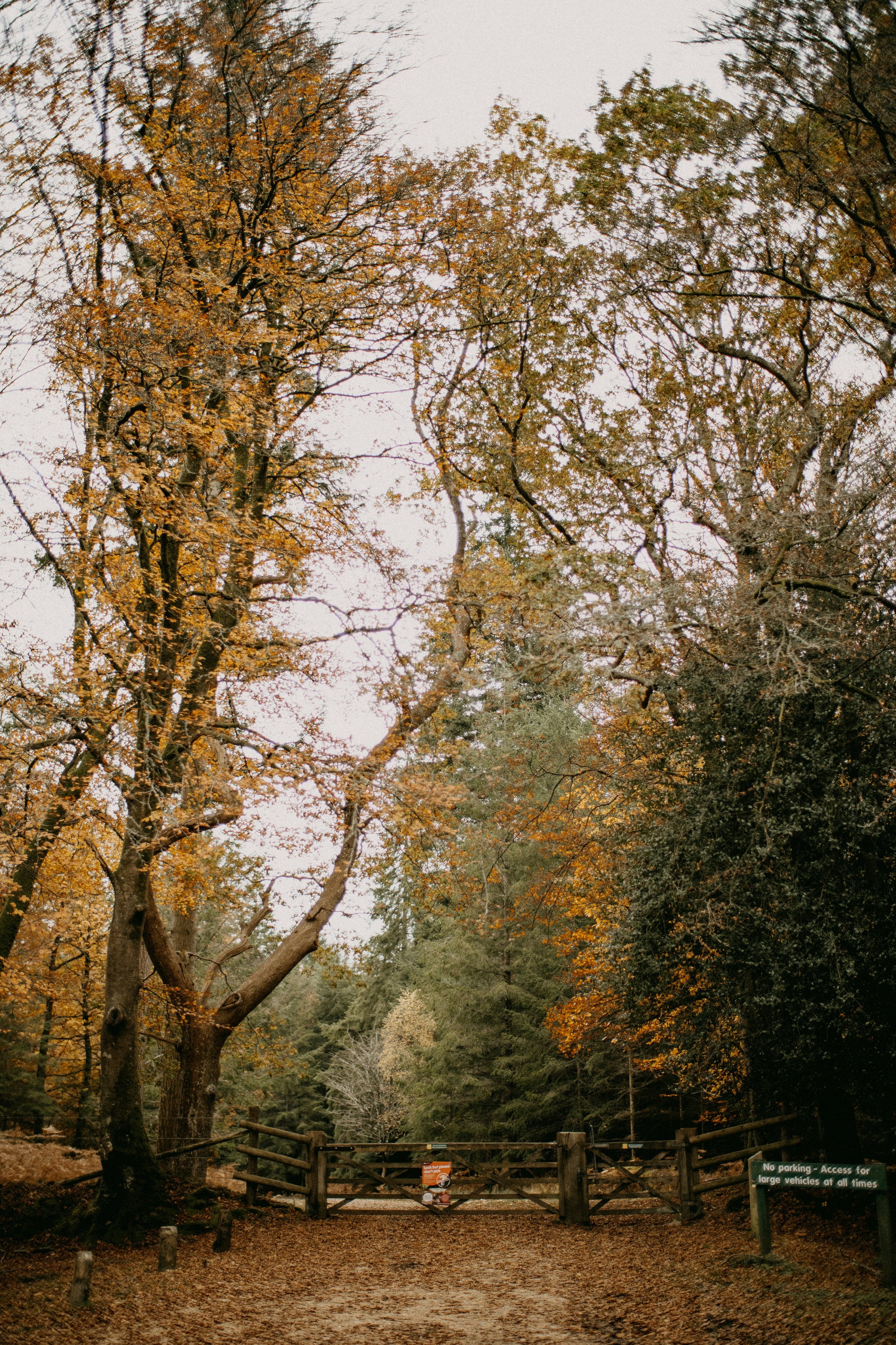 When God Gives You the Words: A Walk of Trust and Obedience