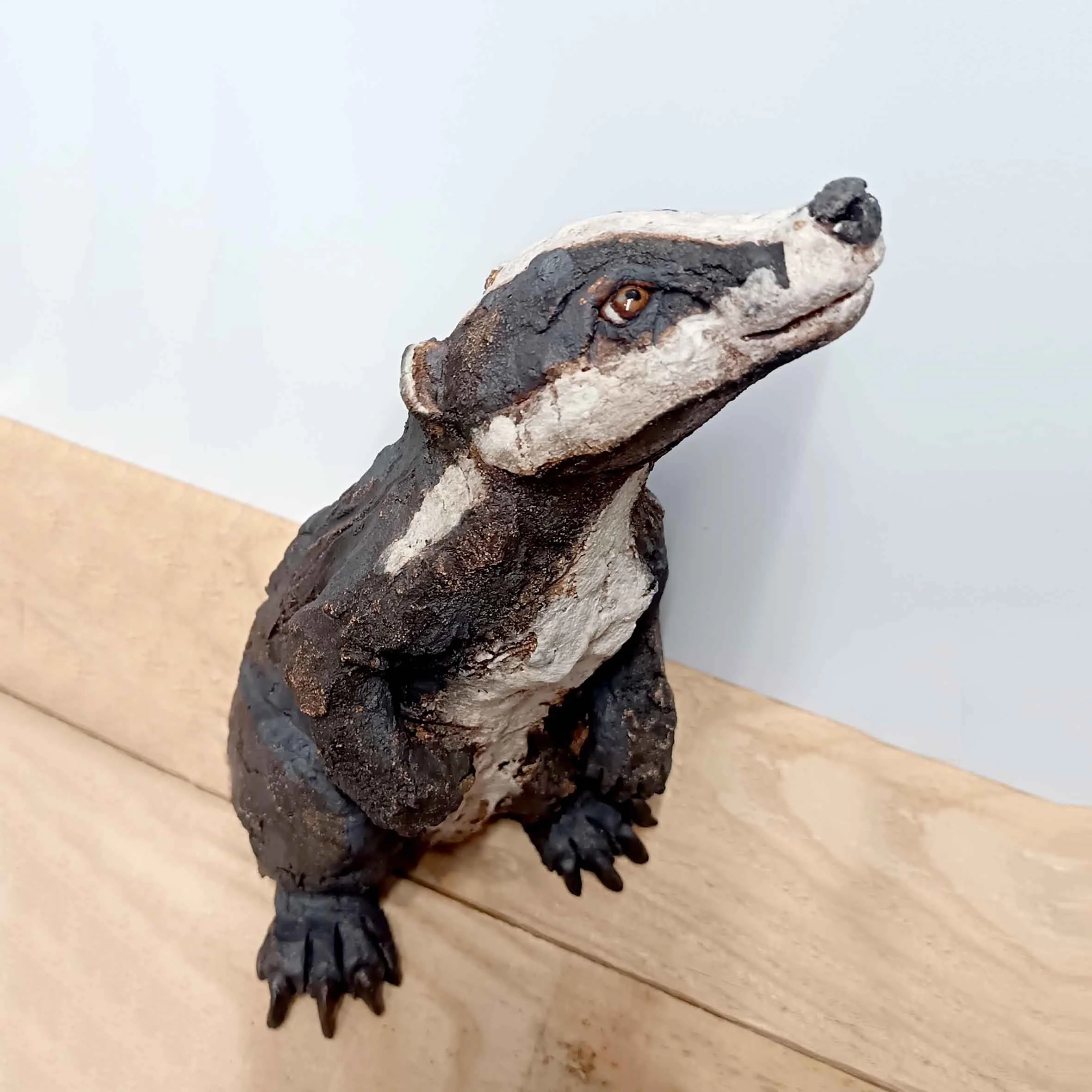 badger.jpg
