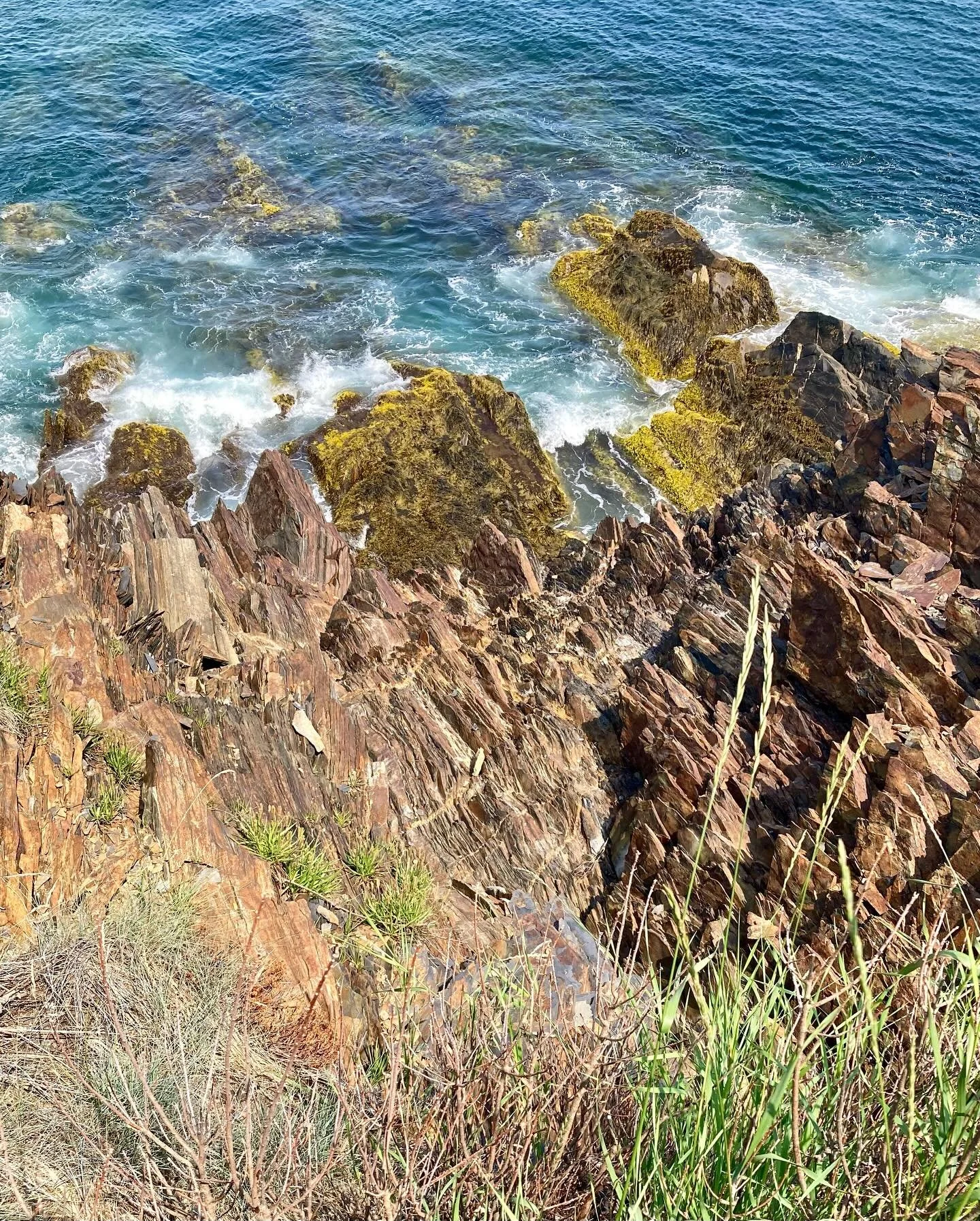 Spending time in the landscapes of #newbrunswick and #novascotia always provides new inspiration. It&rsquo;s a time of slowing down, spending time with friends and family, and taking in the natural beauty of the Canadian Maritimes. From the abundant 