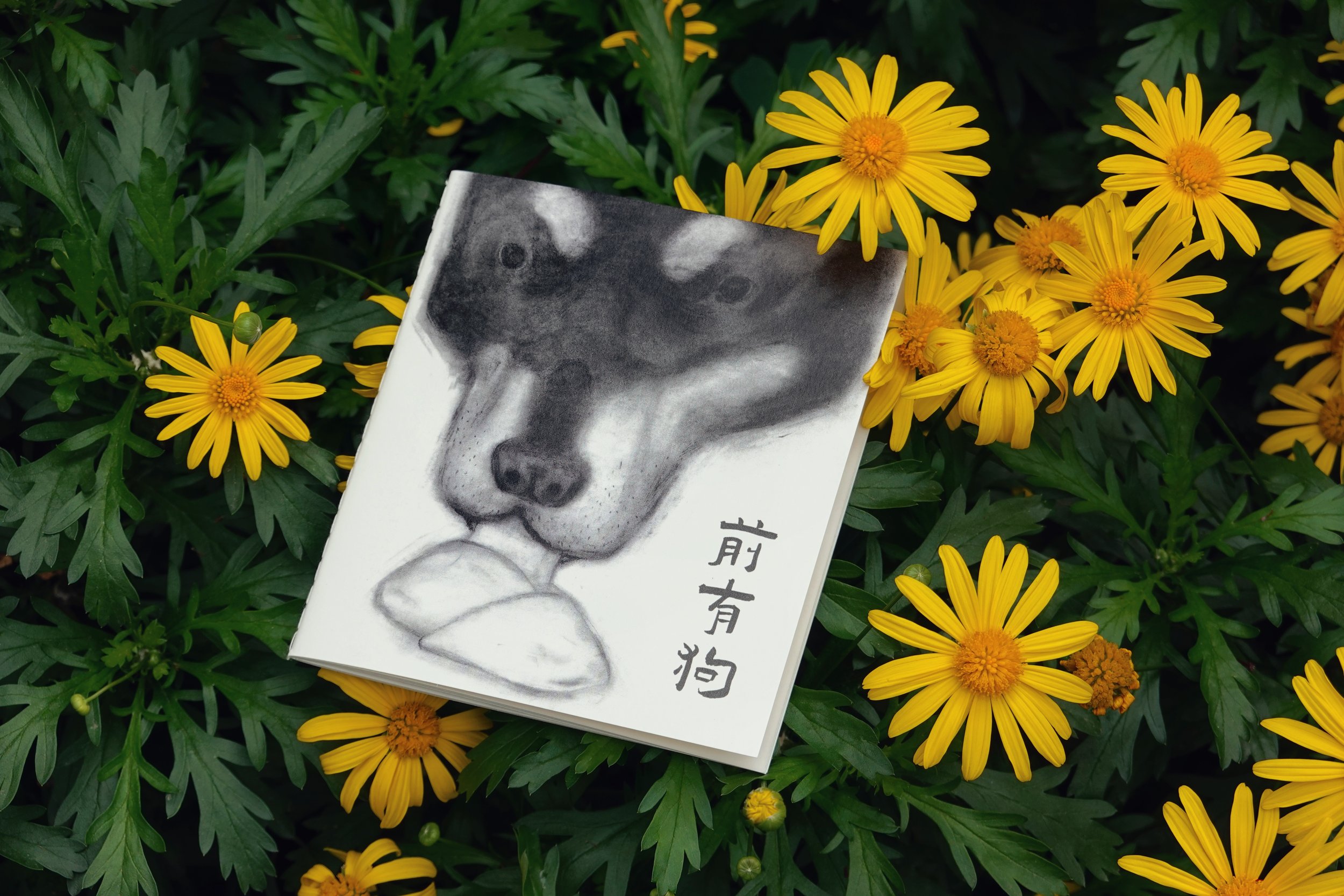 前有狗宣传图2.jpg