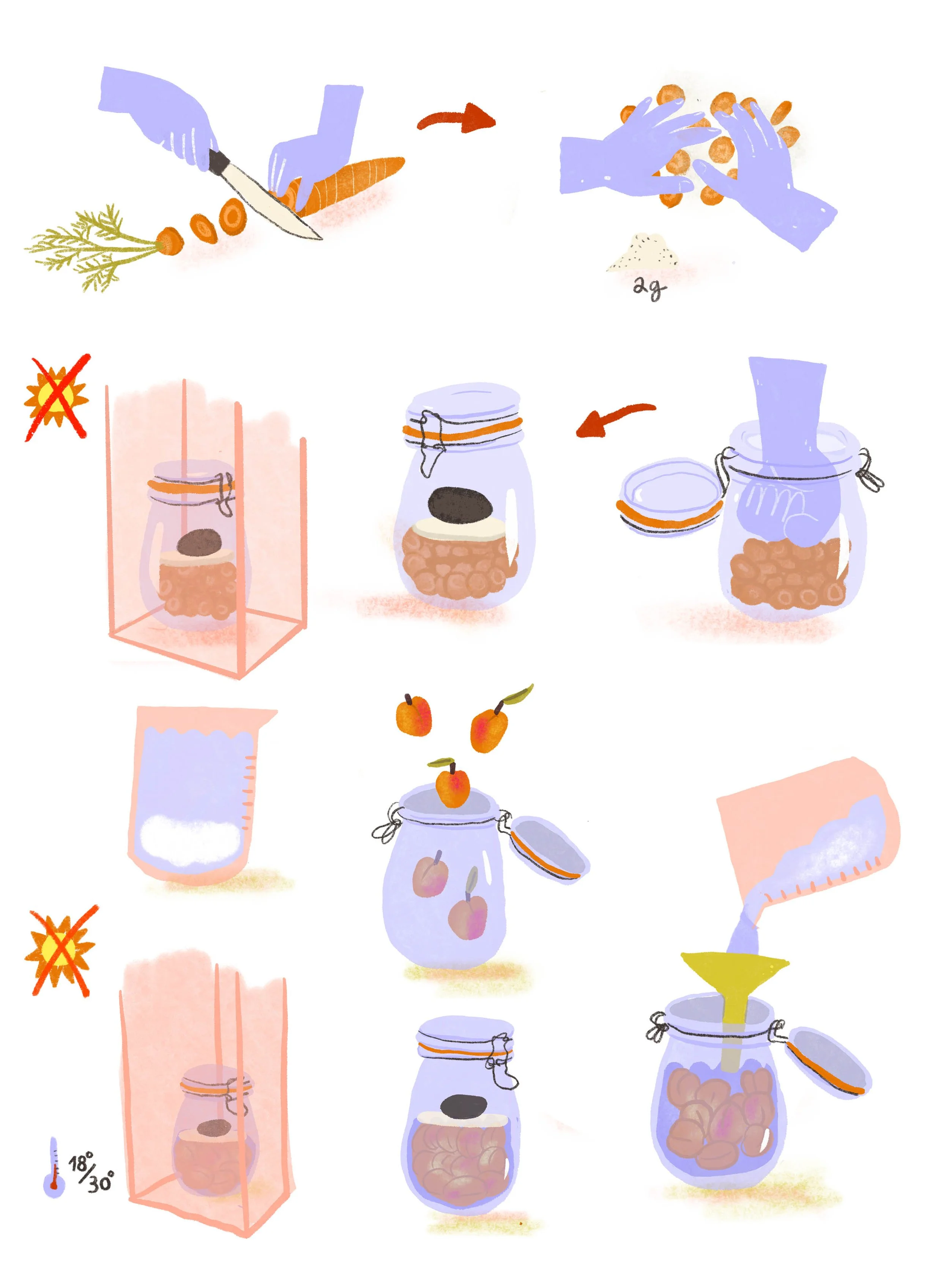 ULMER-FERMENTATION-SEL copie.jpg
