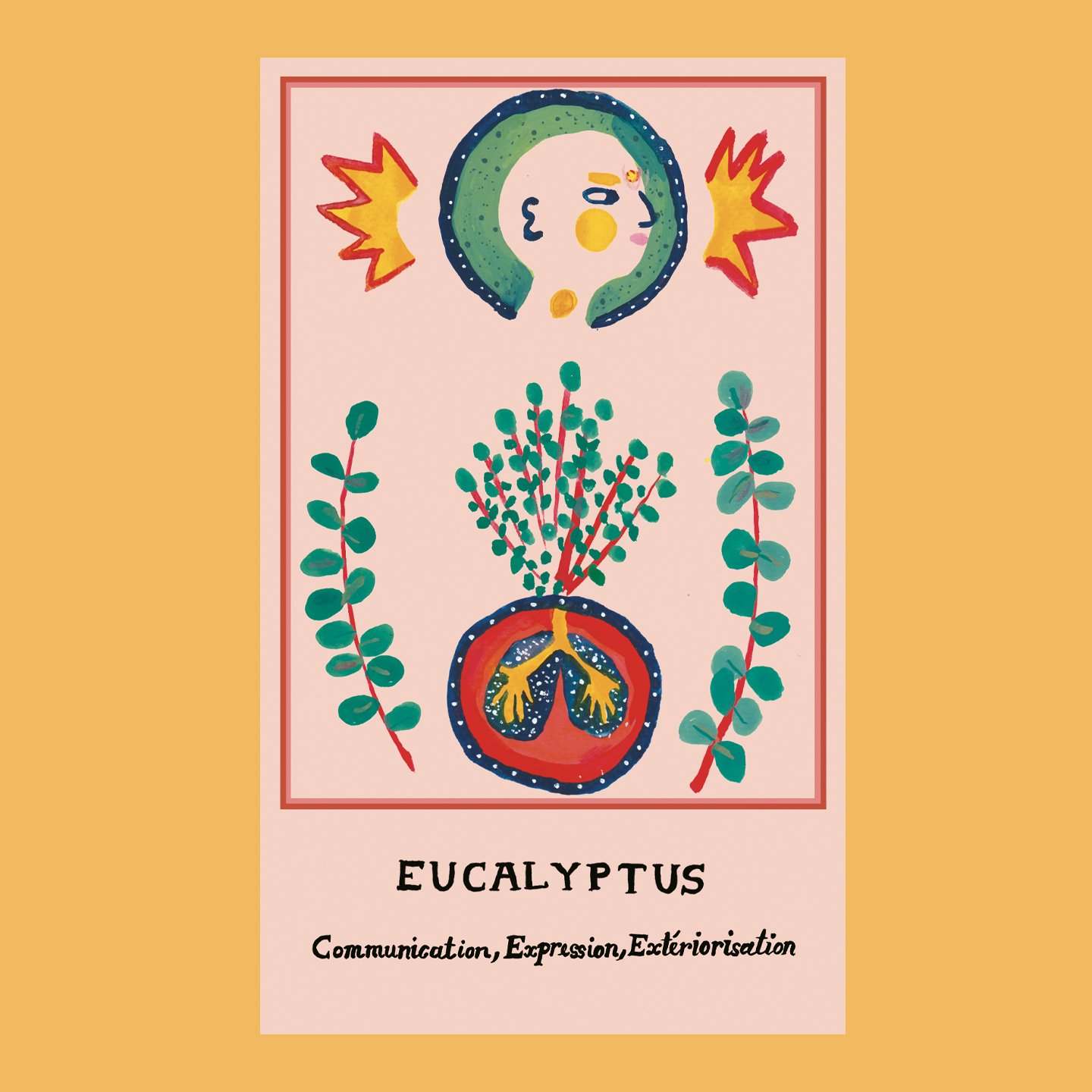 eucalyptus.jpg