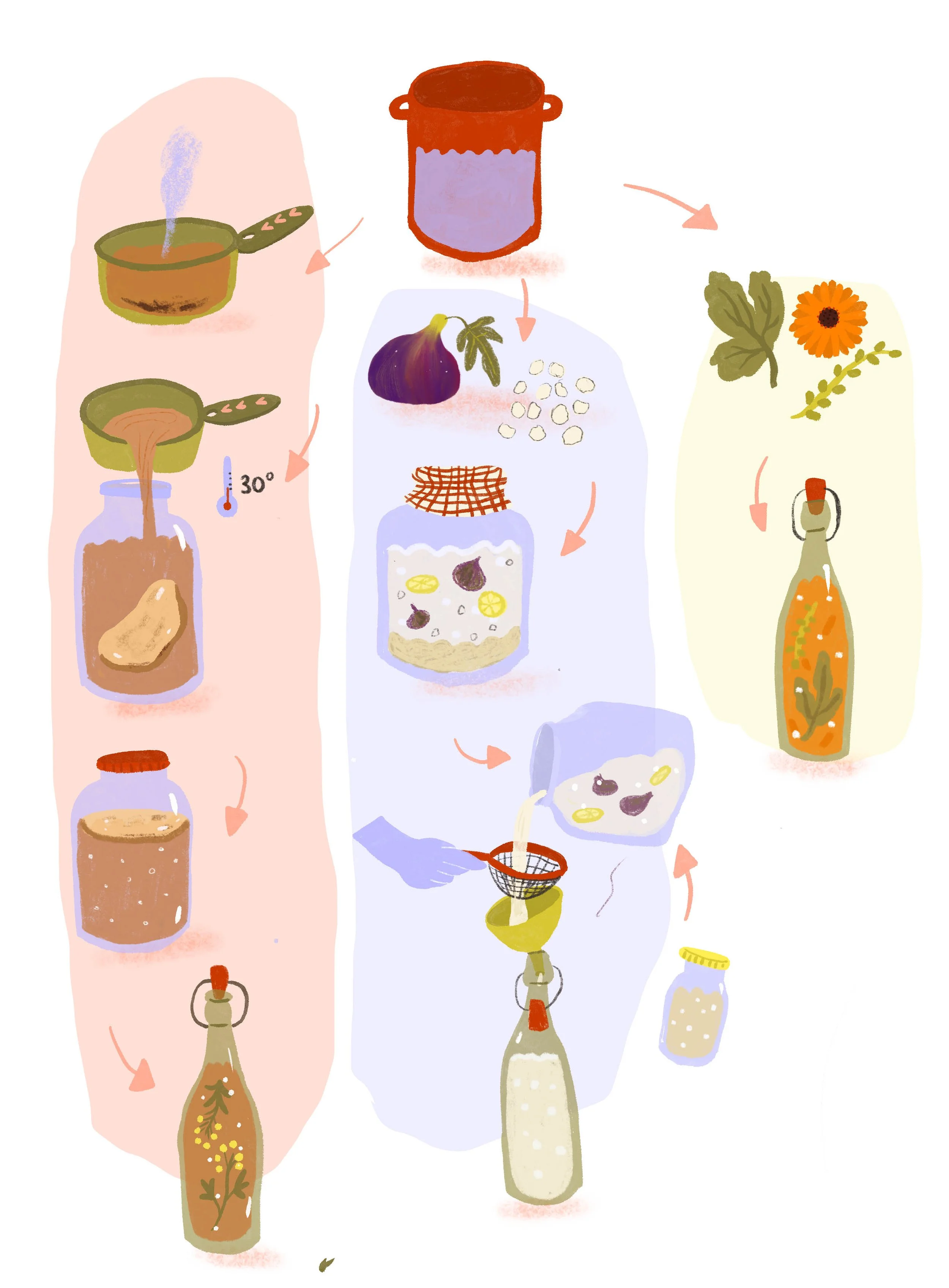 ULMER-FERMENTATION-BOISSON copie.jpg
