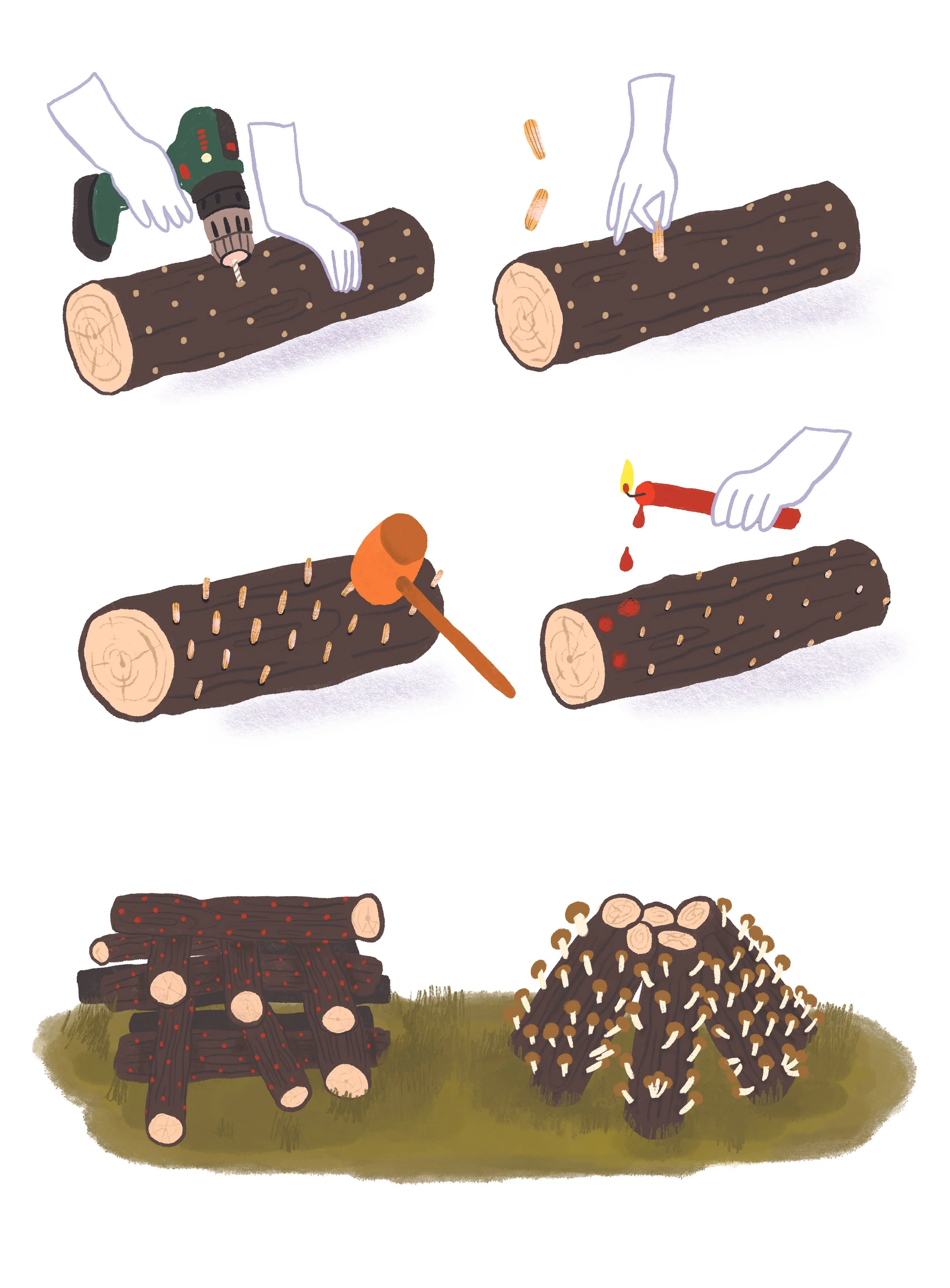 5-bûche.jpg