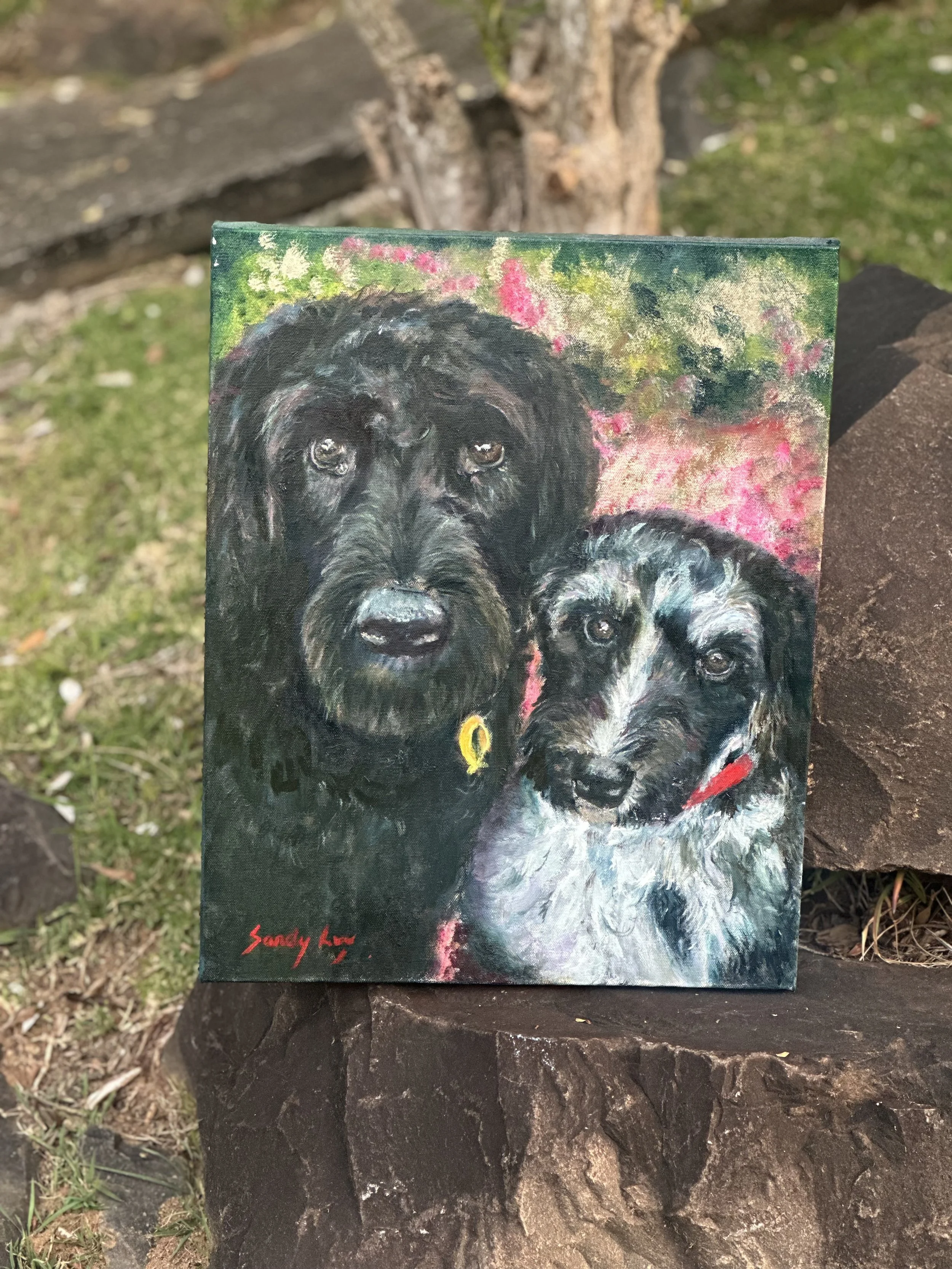Pet Portrait Oil Painting (2026)