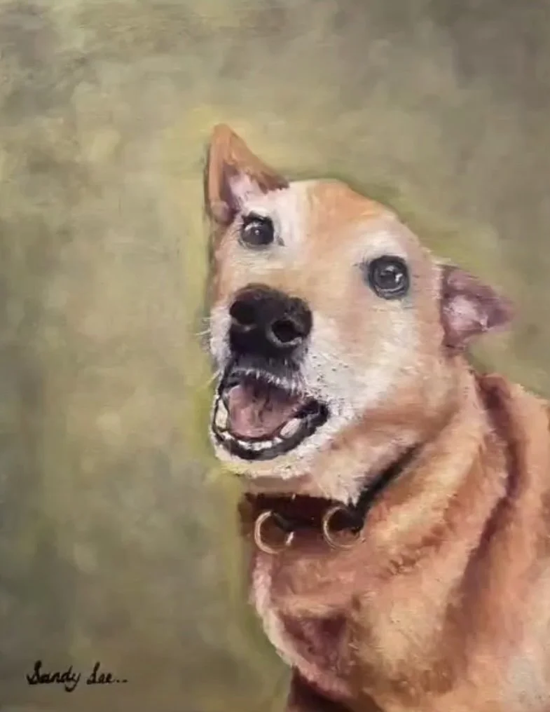 Pet Portrait Oil Painting (2021)