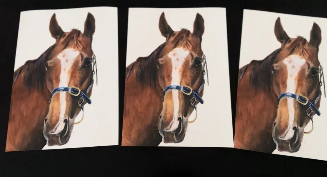 Original watercolour painting by Sandy Lee Artistry of racehorse City Bound.