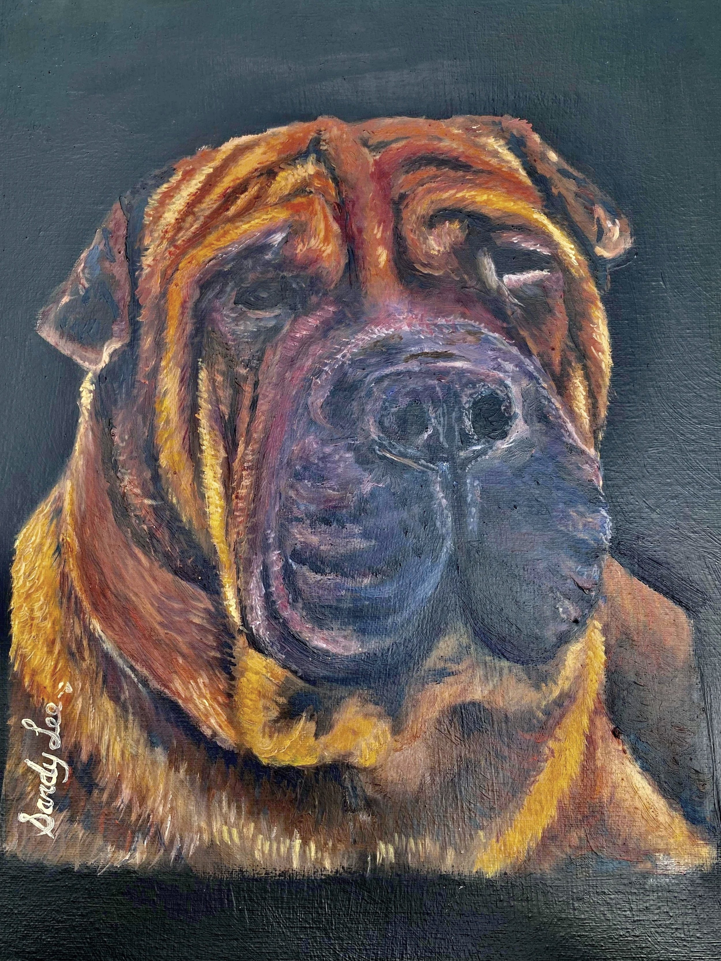 Original oil painting by Sandy Lee Artistry of champion racehorse Hydrogen, created for the 2025 Australian Racing Hall of Fame.