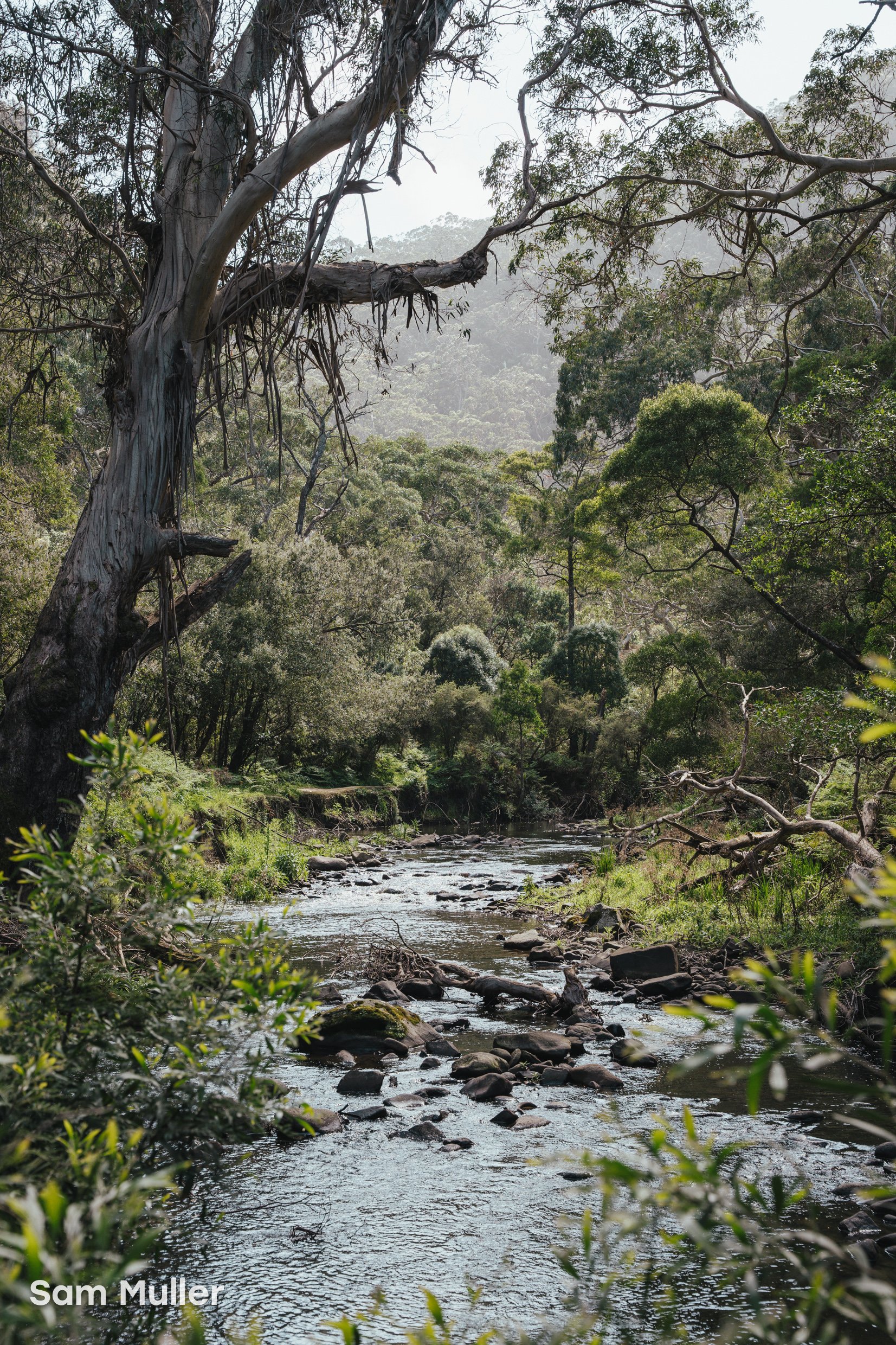 07 - Cumberland River, Victoria