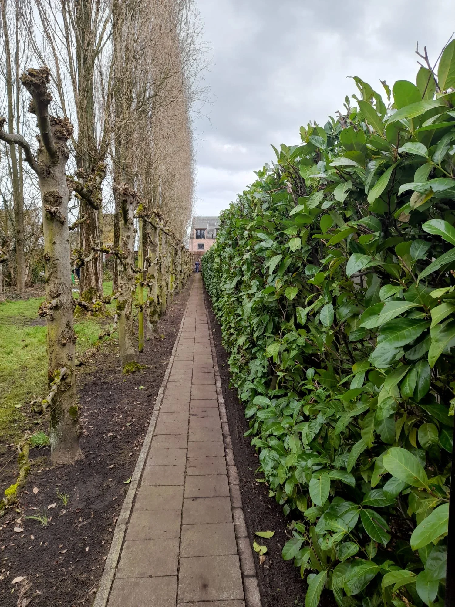 Snoeien op den Den Doel 28 februari 2026  