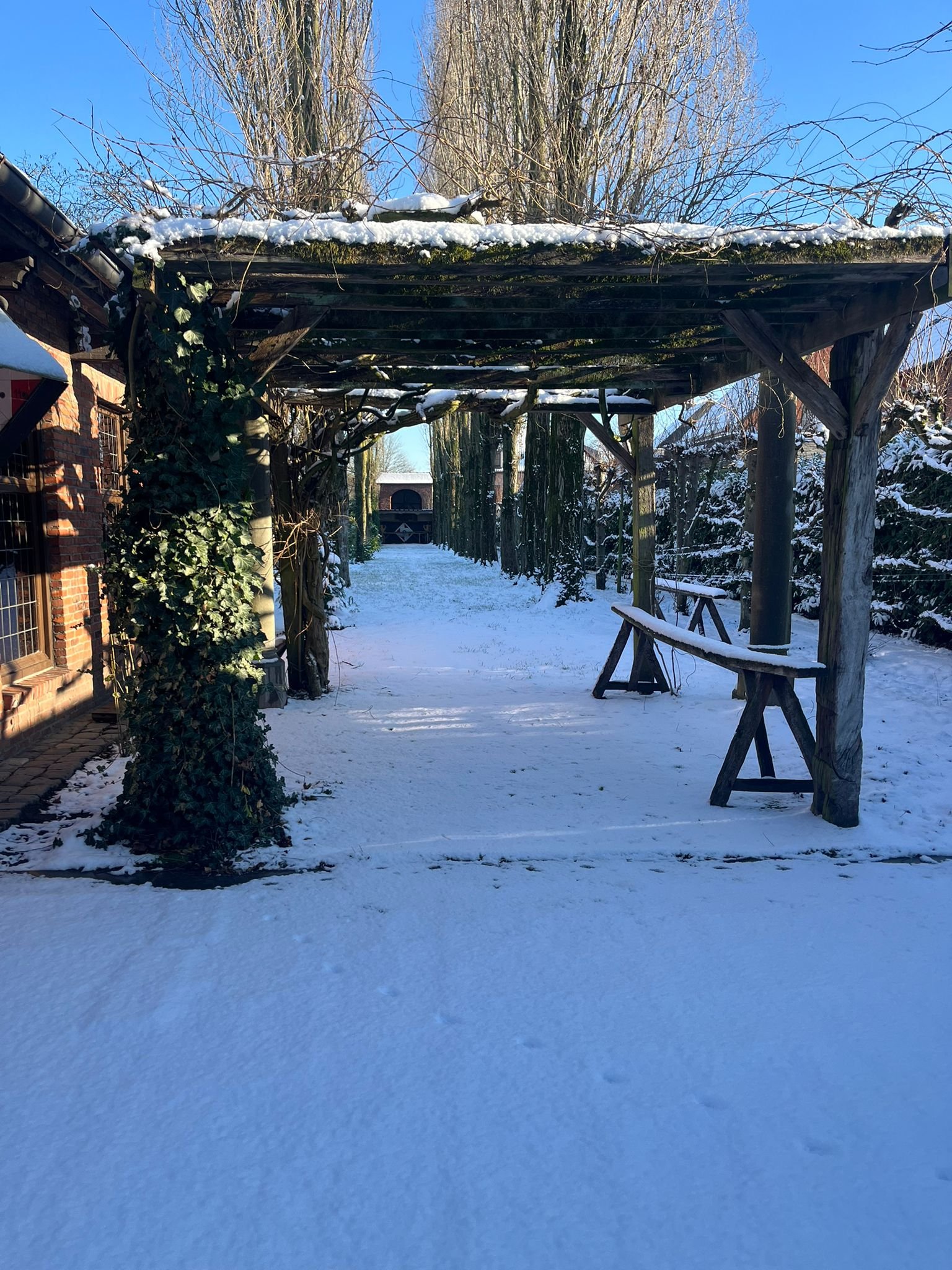 WhatsApp Image 2026-01-12 at 17.35.32 (1).jpeg