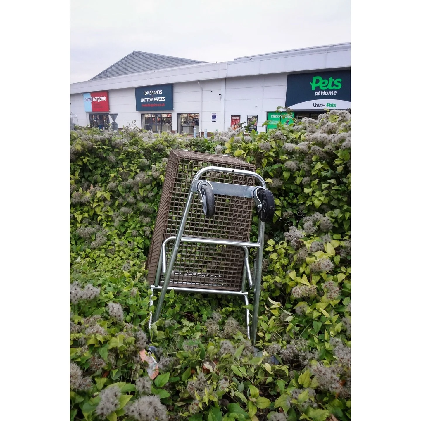 Still (Urban) Life

Documenting objects that have slipped from their intended contexts.

#streetphotography #spi̇collective #mystreet_bnw #street_macadam #lensculture #therawsociety #eyeshotmagazine #womeninstreet #collagewise