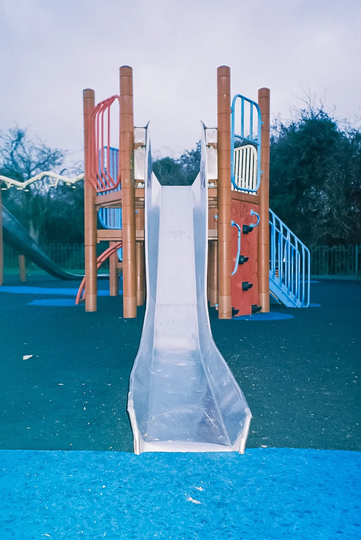 Candido 800 Dec 25_17.jpg