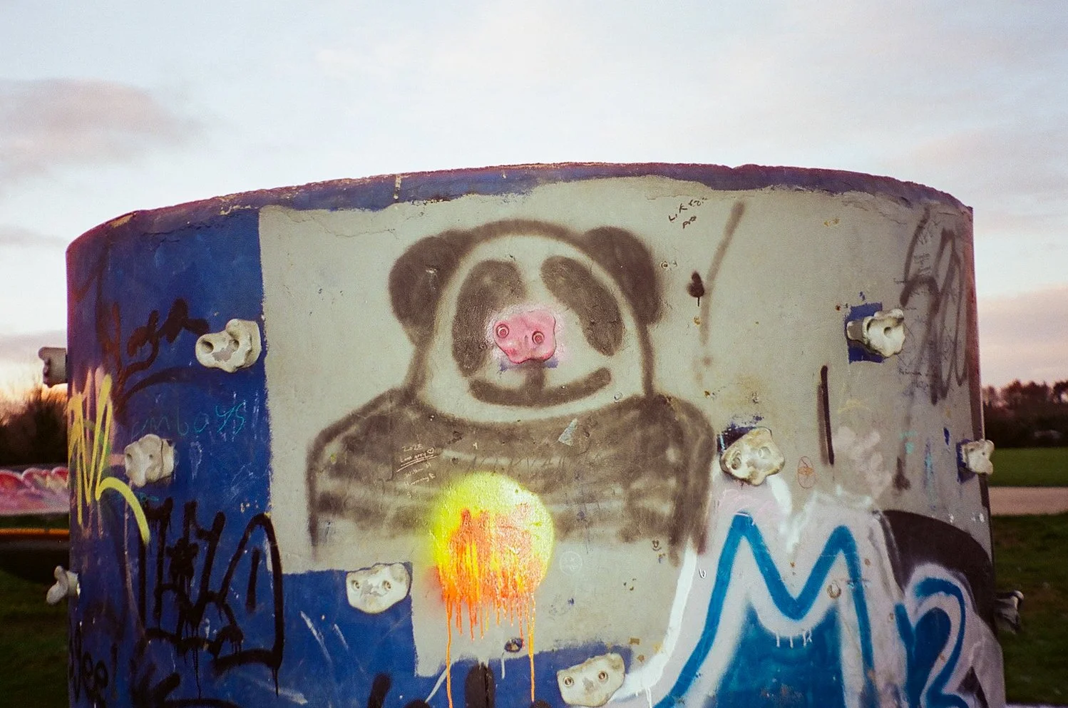 CineStill 400T Jan 26_9.jpg