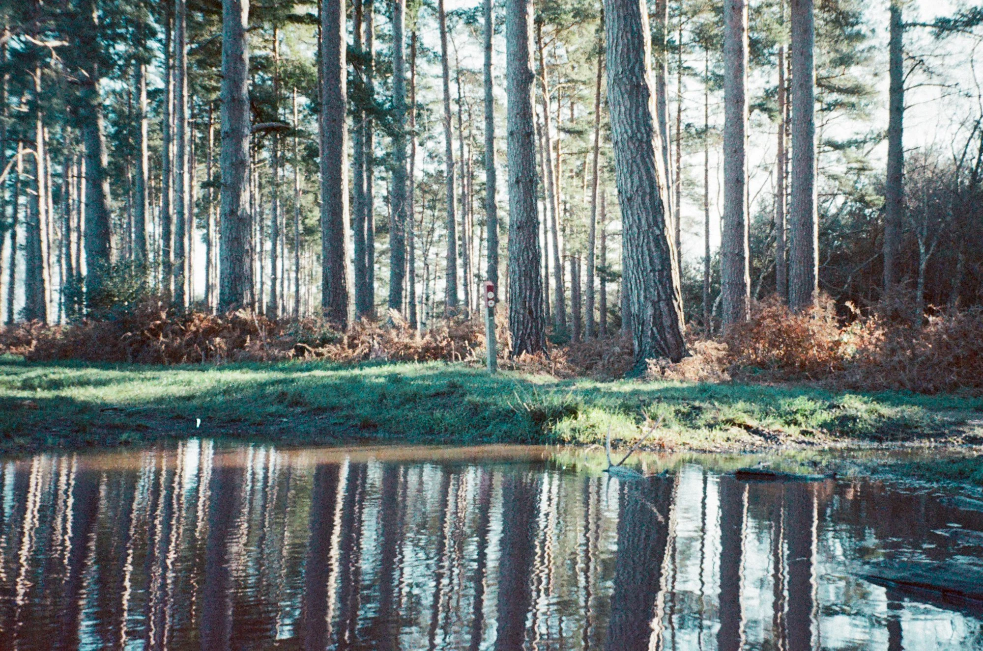 Agfa 400 5.jpg
