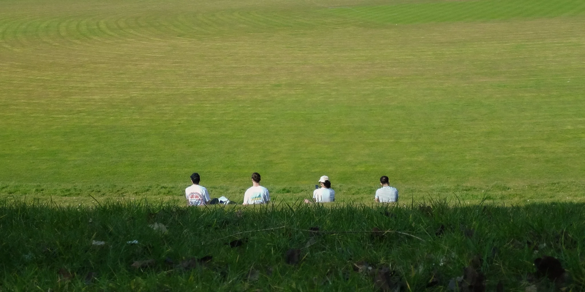 Park 1.jpg