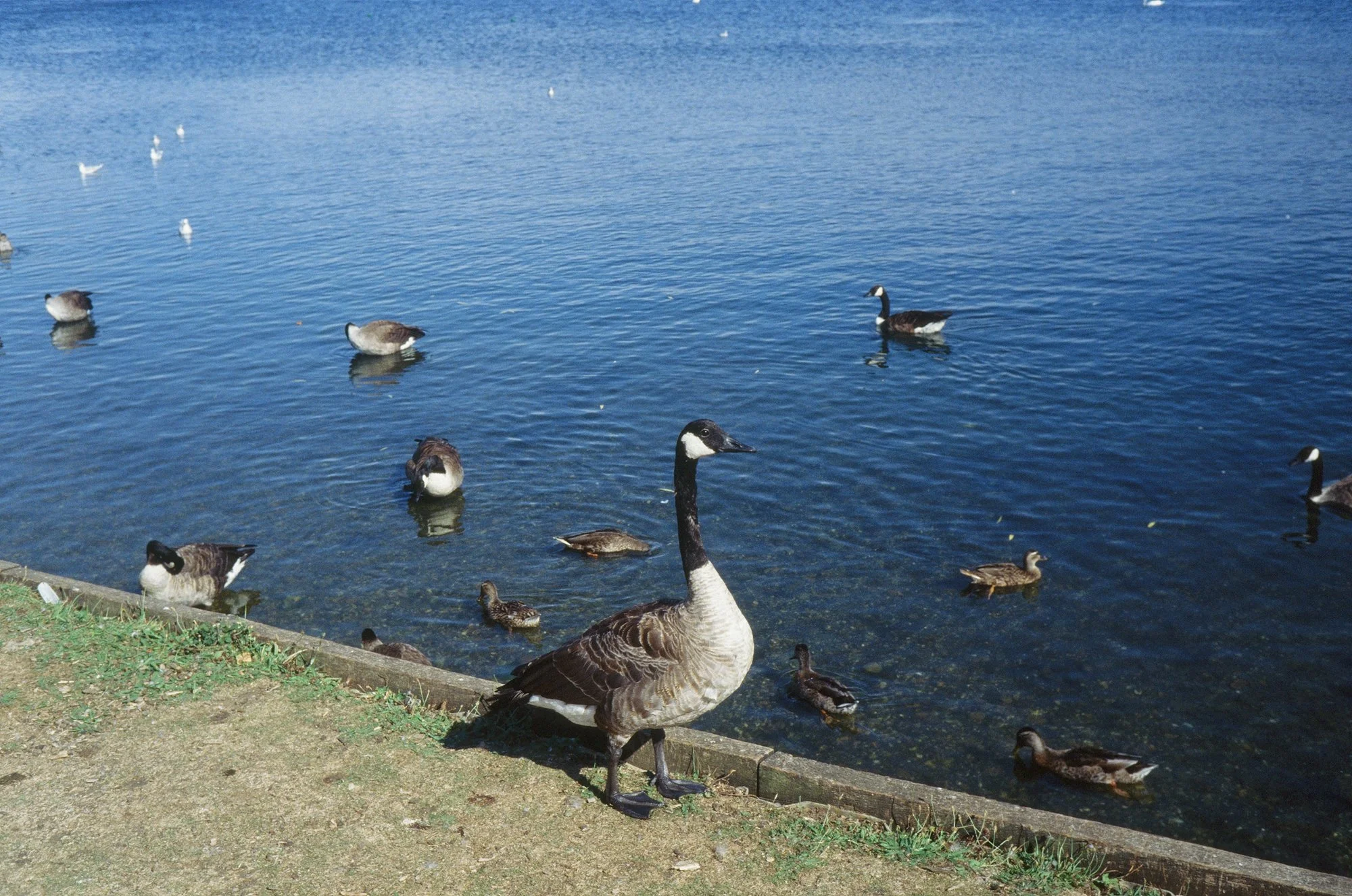 Leica M6_E6 100_Sep 26_17.jpg