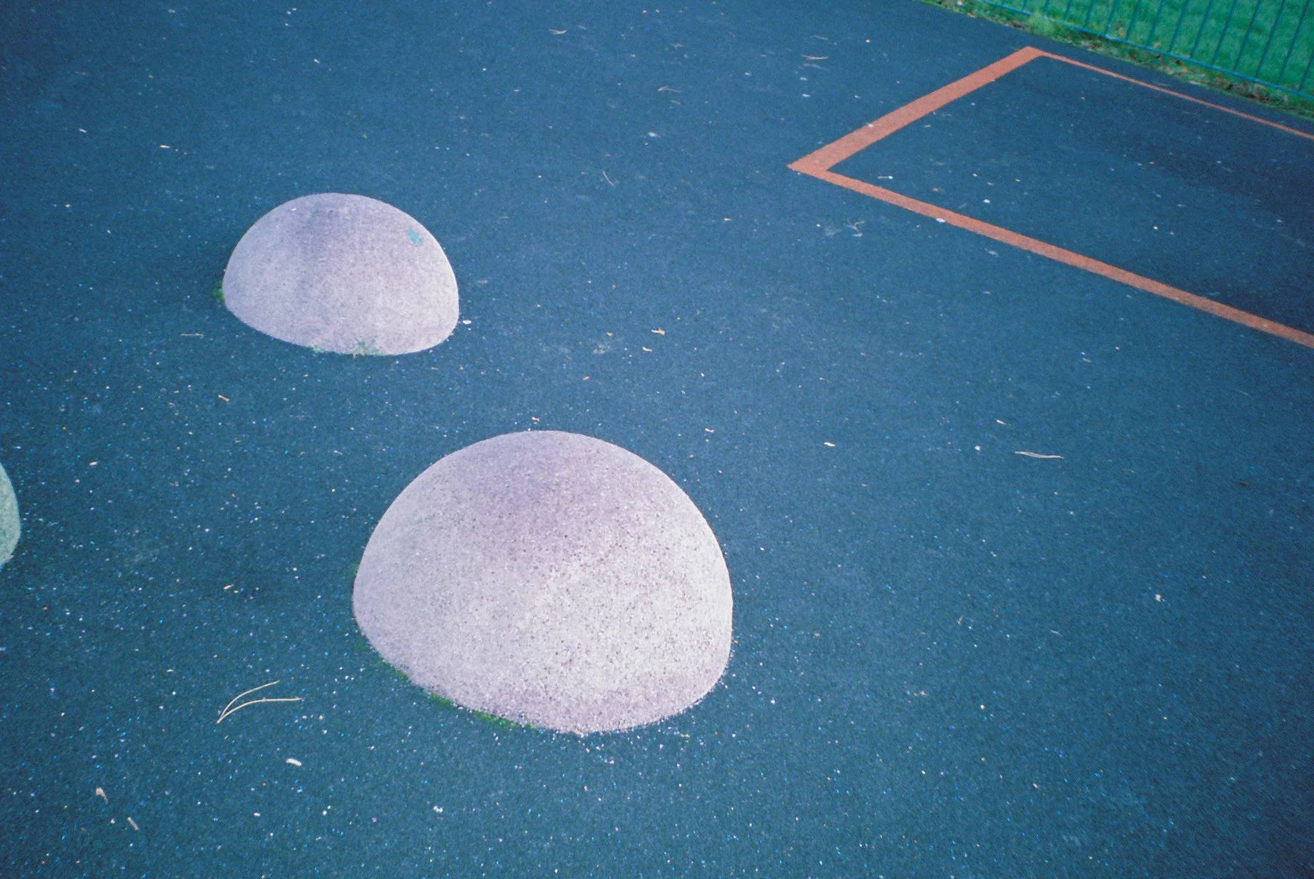 Candido 800 Dec 25_15.jpg