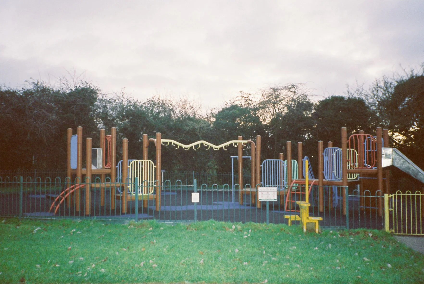 Candido 800 Dec 25_16.jpg